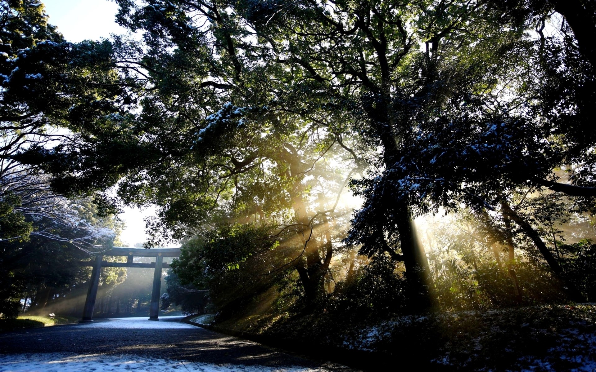Torii gate in a forest with sunbeams and snow HD Wallpaper