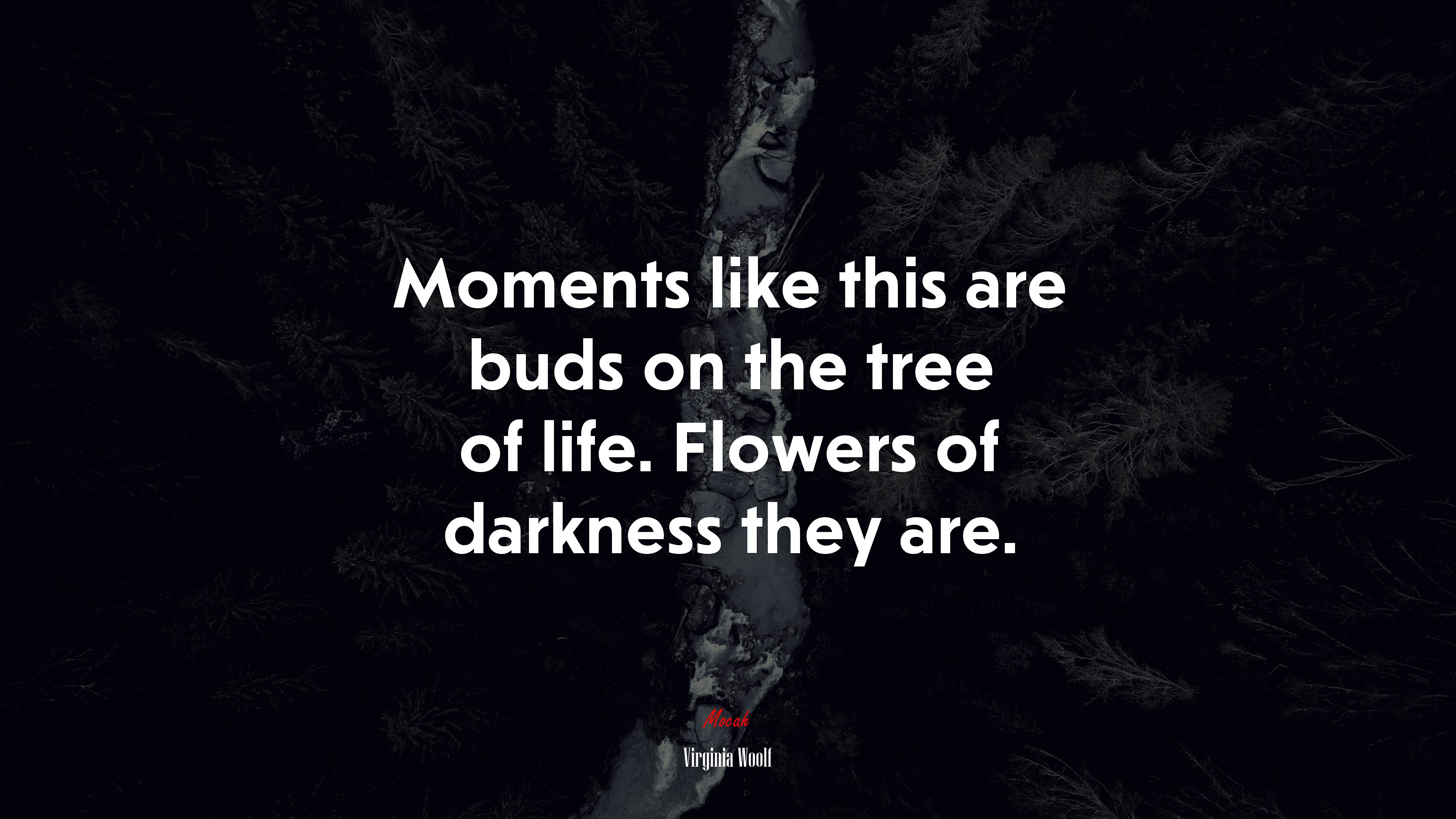 Moments like this are buds on the tree of life. Flowers of darkness they are. | Virginia Woolf quote HD Wallpaper