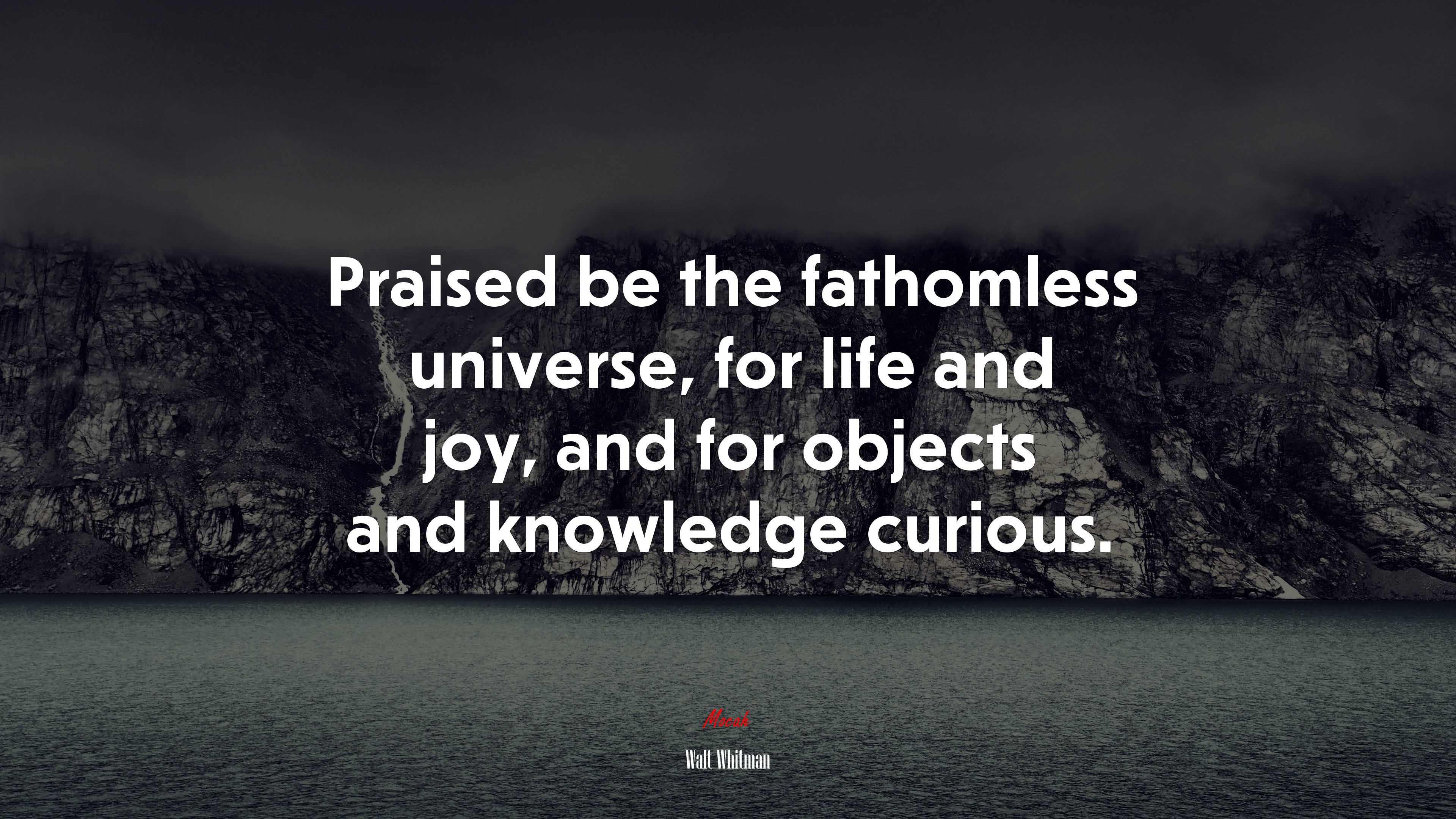 Praised be the fathomless universe, for life and joy, and for objects and knowledge curious. | Walt Whitman quote HD Wallpaper