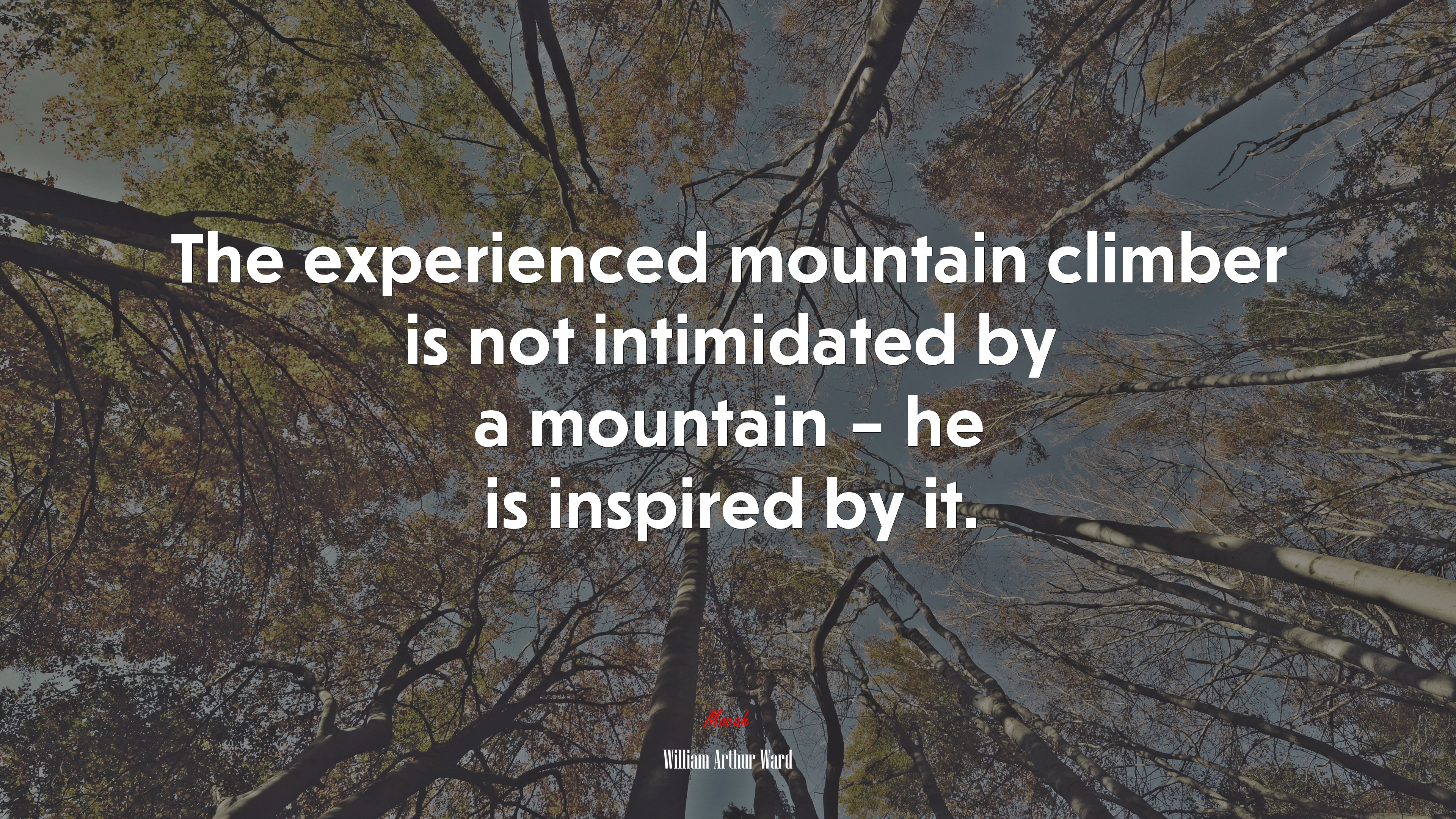 The experienced mountain climber is not intimidated by a mountain – he is inspired by it. | William Arthur Ward quote HD Wallpaper