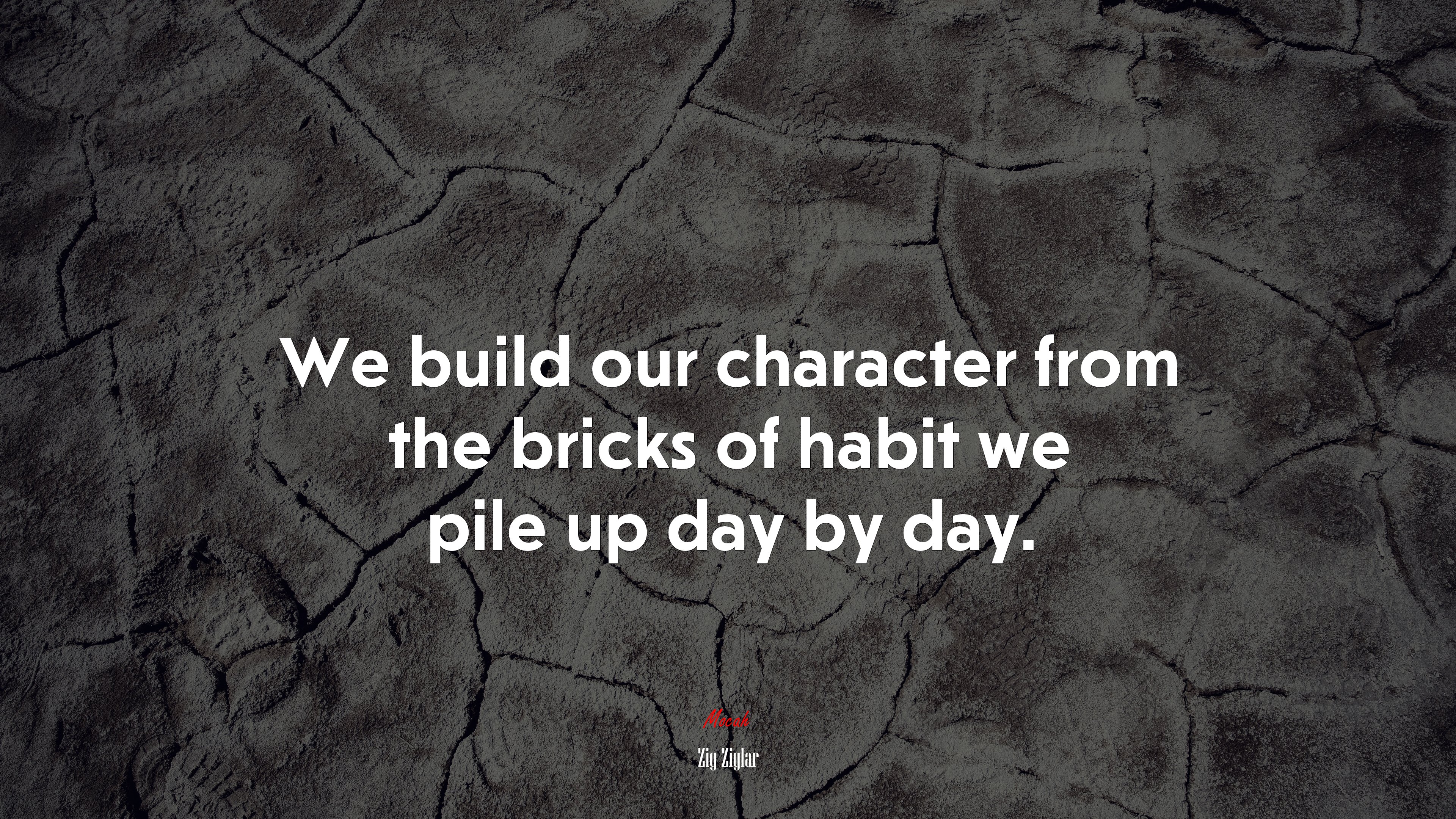 We build our character from the bricks of habit we pile up day by day. | Zig Ziglar quote HD Wallpaper
