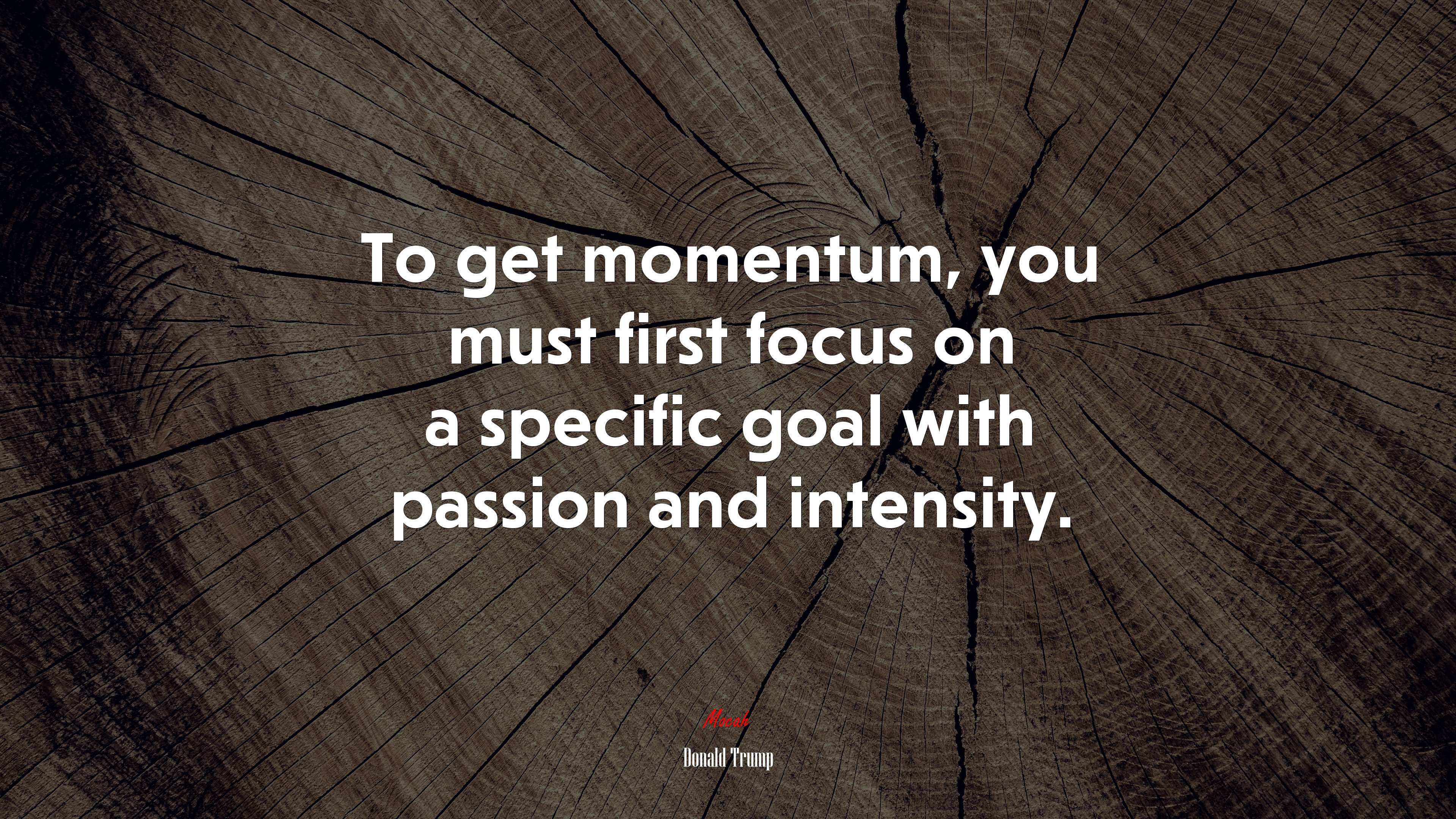To get momentum, you must first focus on a specific goal with passion and intensity. | Donald Trump quote HD Wallpaper