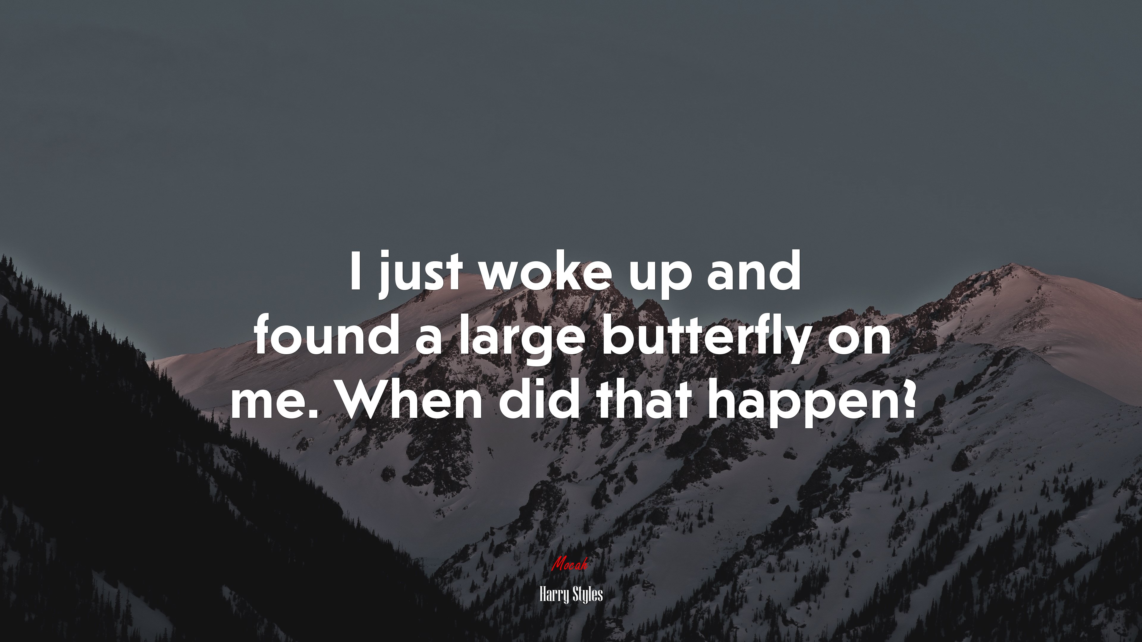 I just woke up and found a large butterfly on me. When did that happen? | Harry Styles quote HD Wallpaper