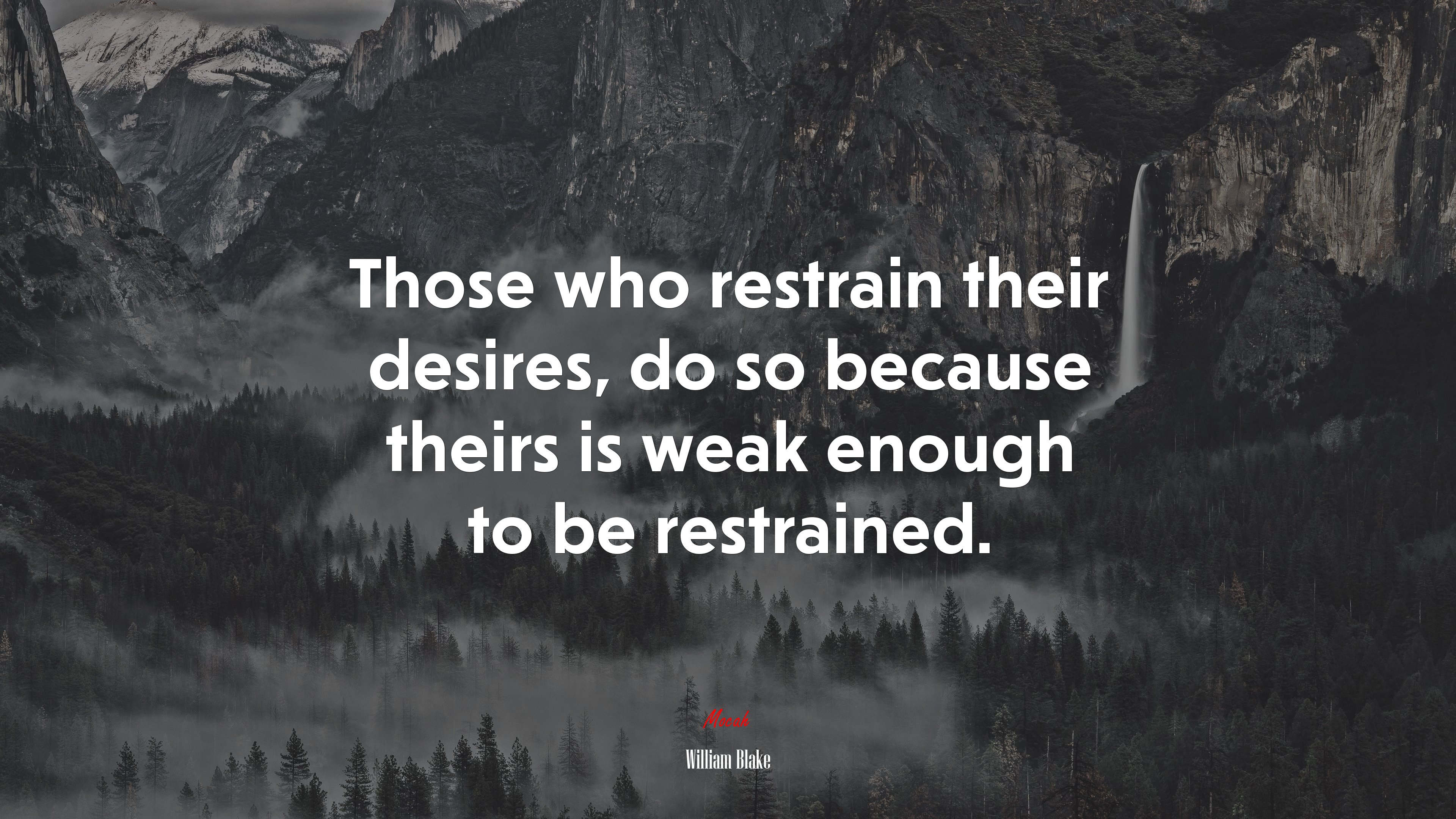 Those who restrain their desires, do so because theirs is weak enough to be restrained. | William Blake quote HD Wallpaper