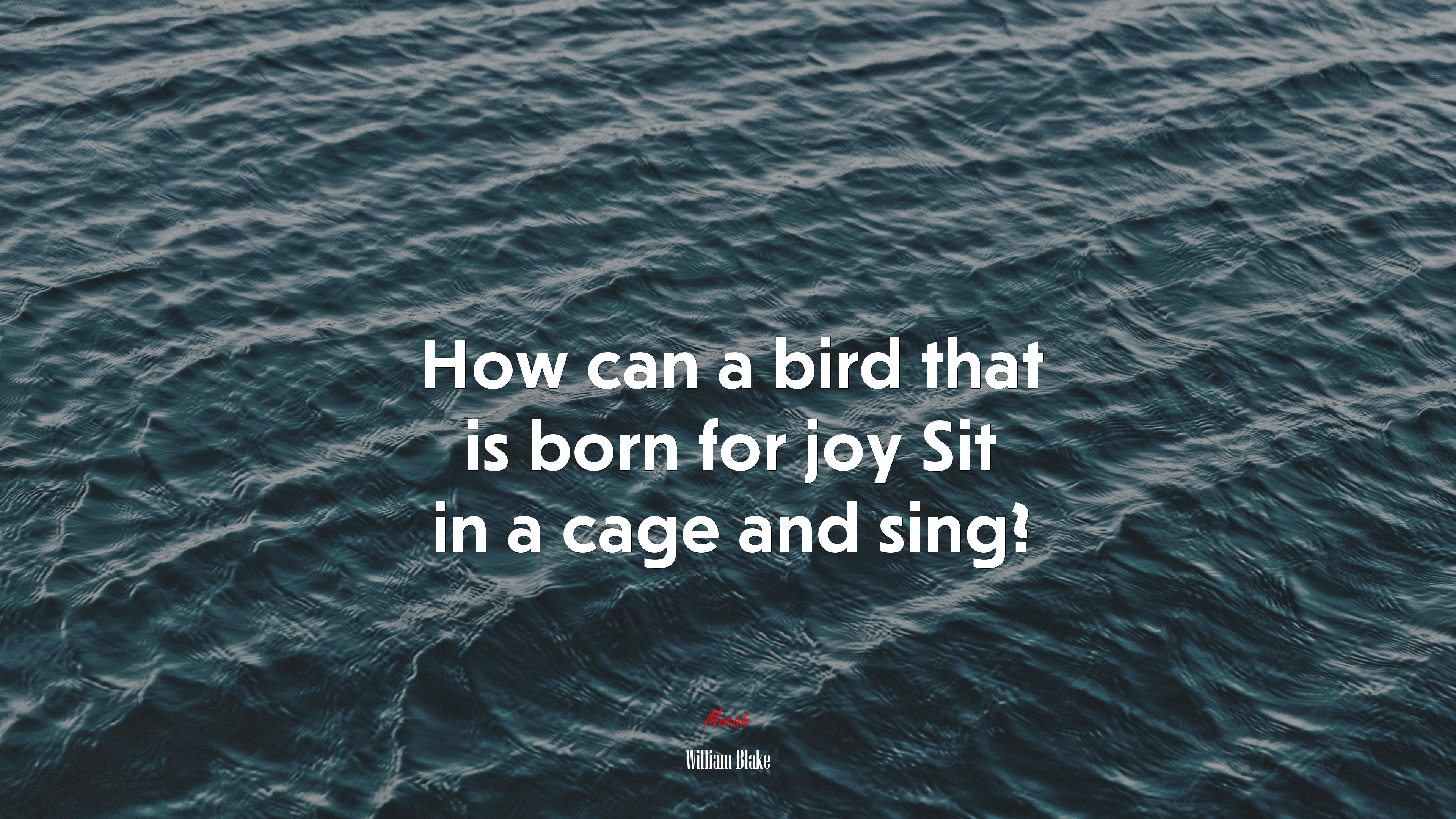 How can a bird that is born for joy Sit in a cage and sing? | William Blake quote HD Wallpaper