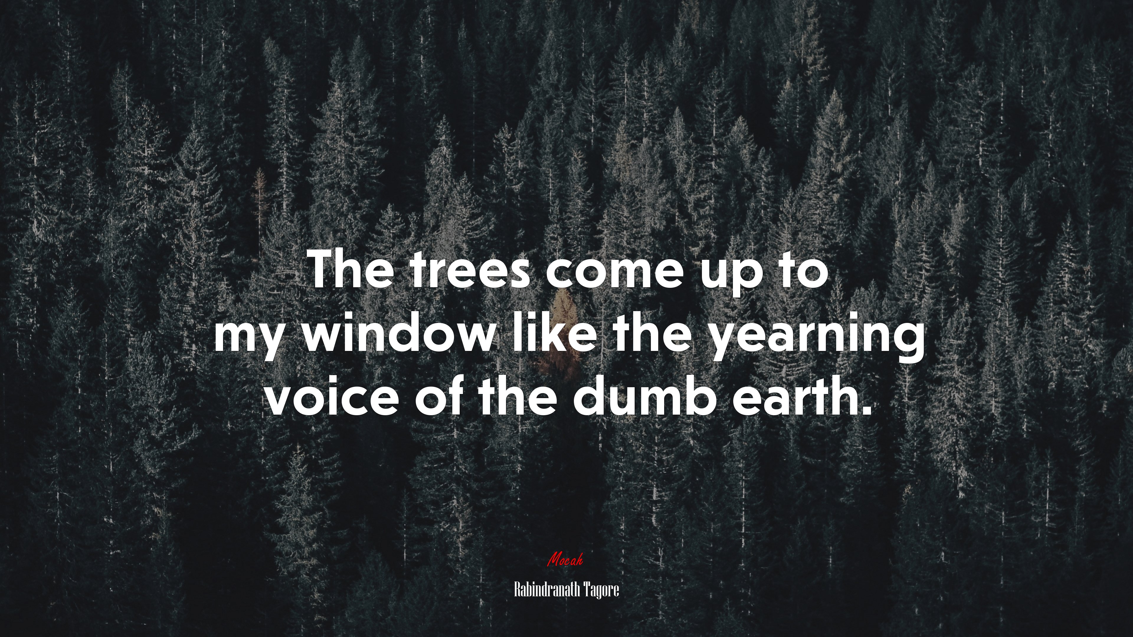 The trees come up to my window like the yearning voice of the dumb earth. | Rabindranath Tagore quote HD Wallpaper