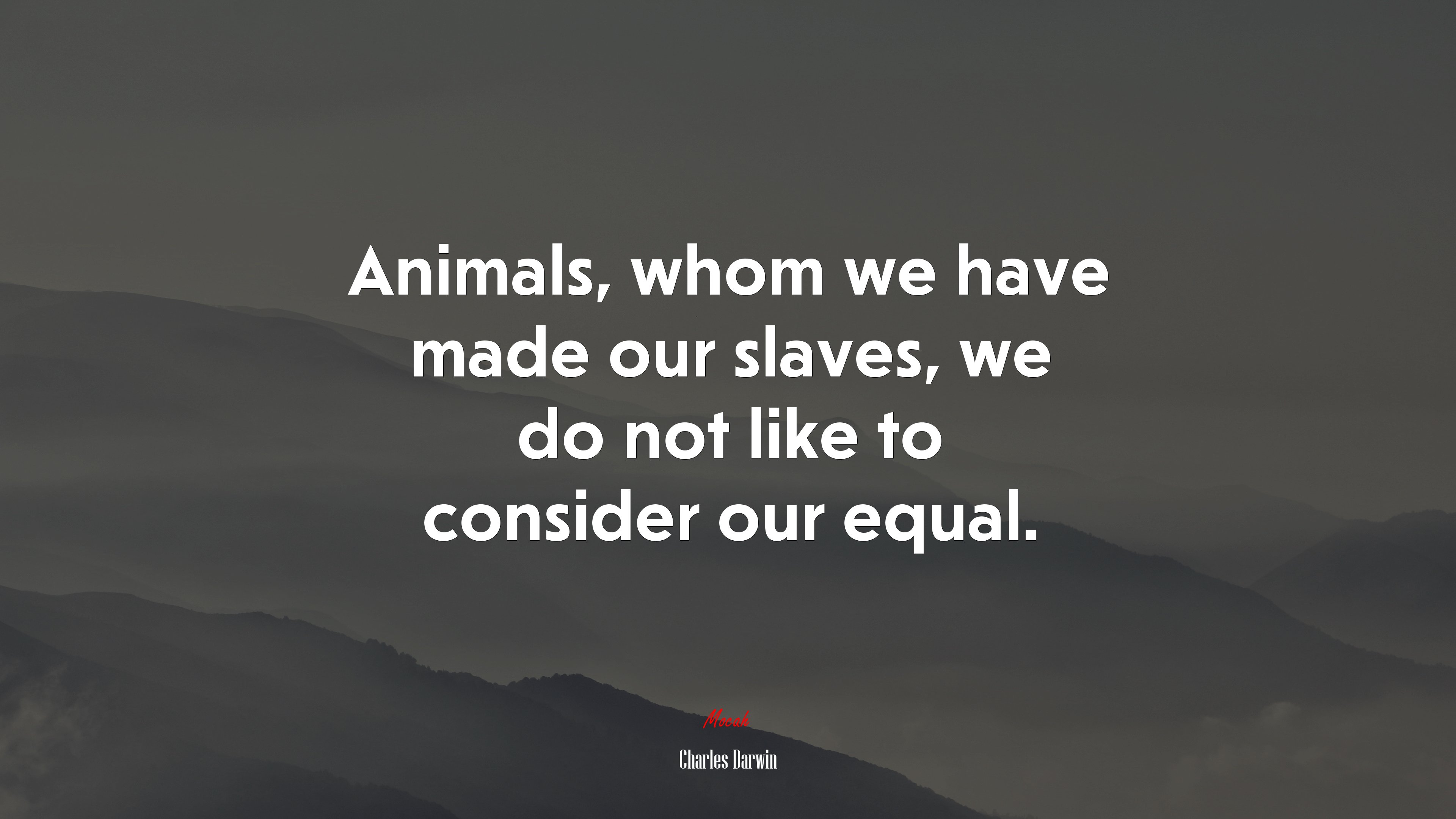 Animals, whom we have made our slaves, we do not like to consider our equal. | Charles Darwin quote HD Wallpaper