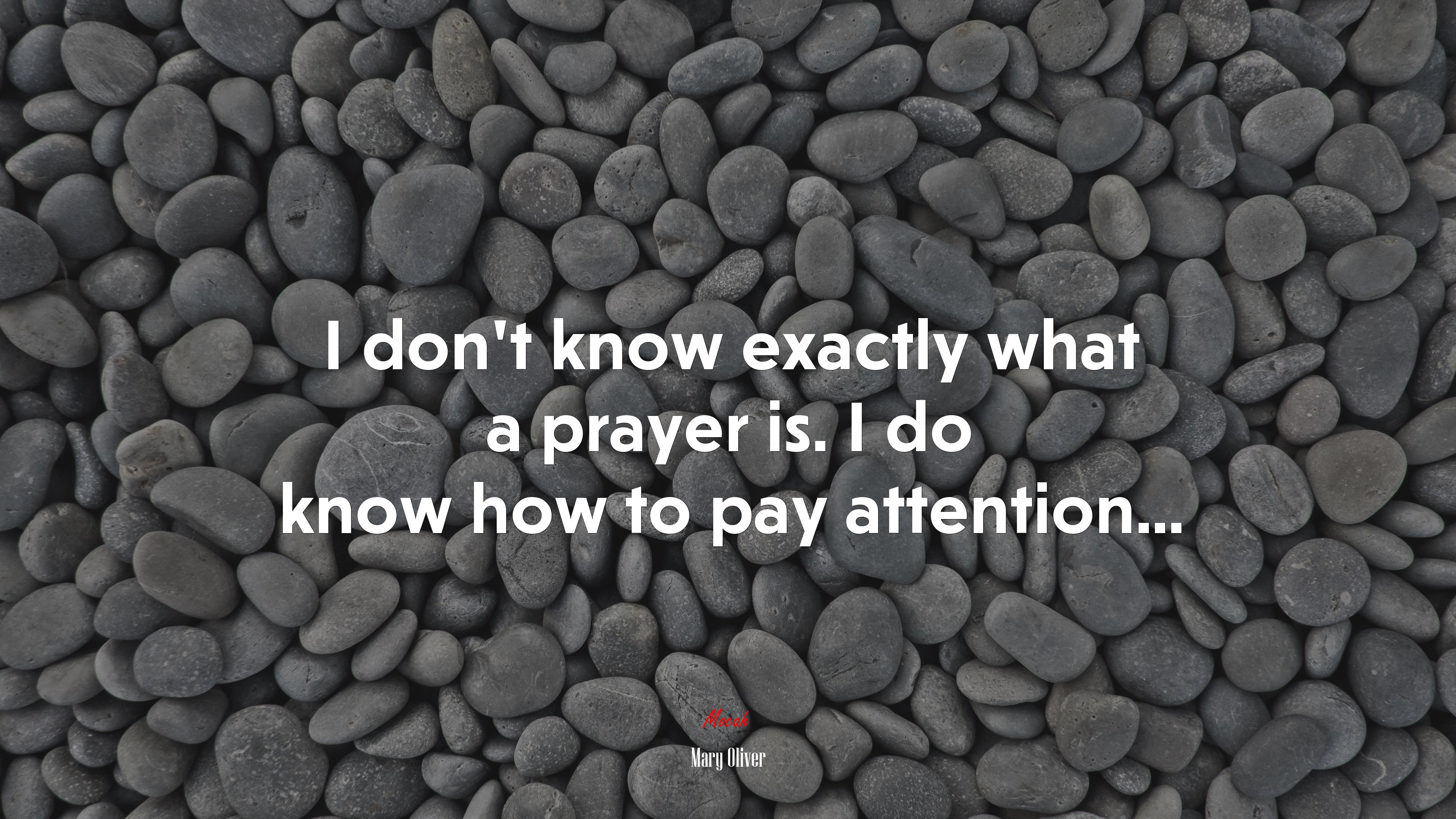 I don’t know exactly what a prayer is. I do know how to pay attention... | Mary Oliver quote HD Wallpaper