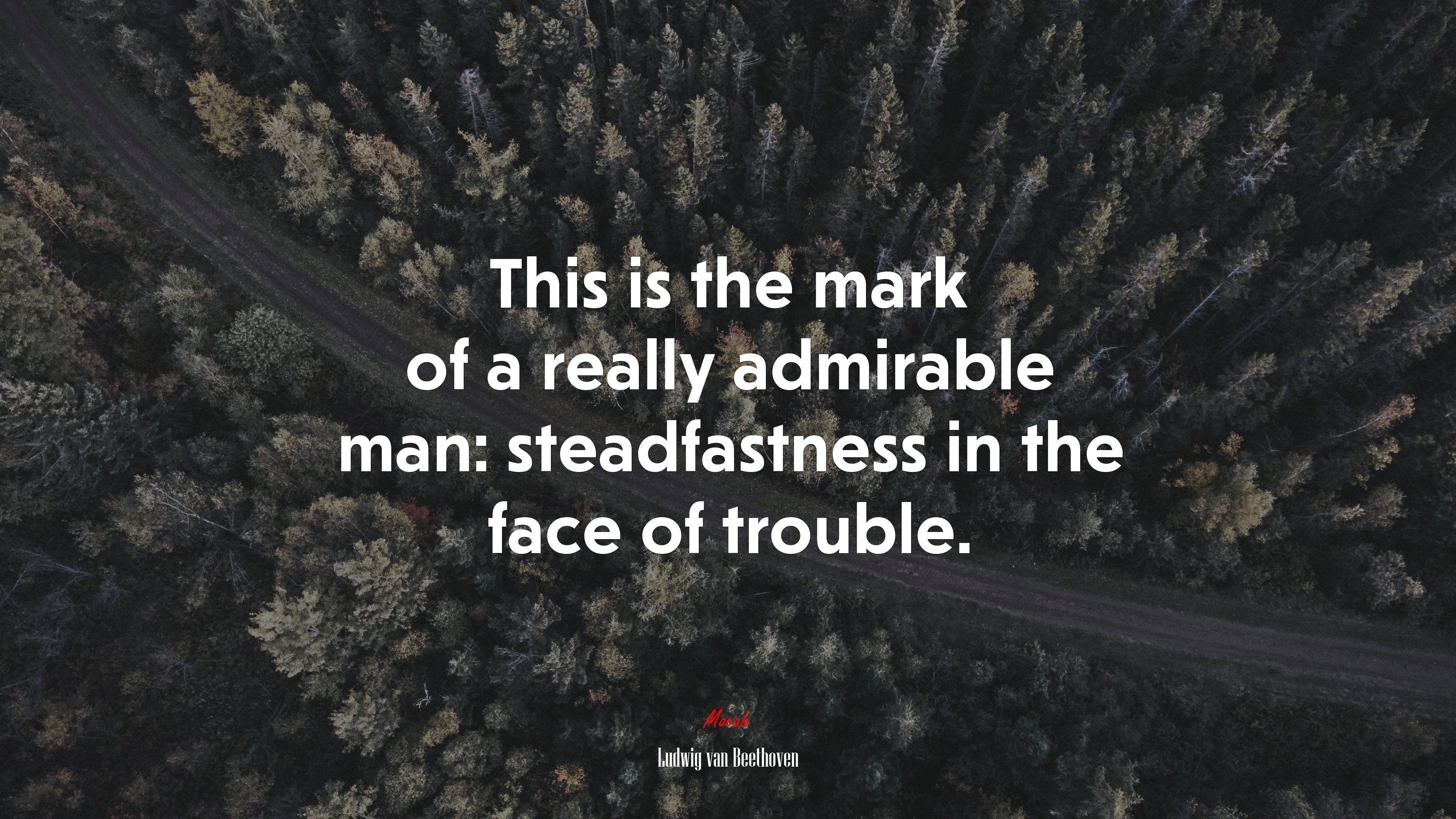 This is the mark of a really admirable man: steadfastness in the face of trouble. | Ludwig van Beethoven quote HD Wallpaper