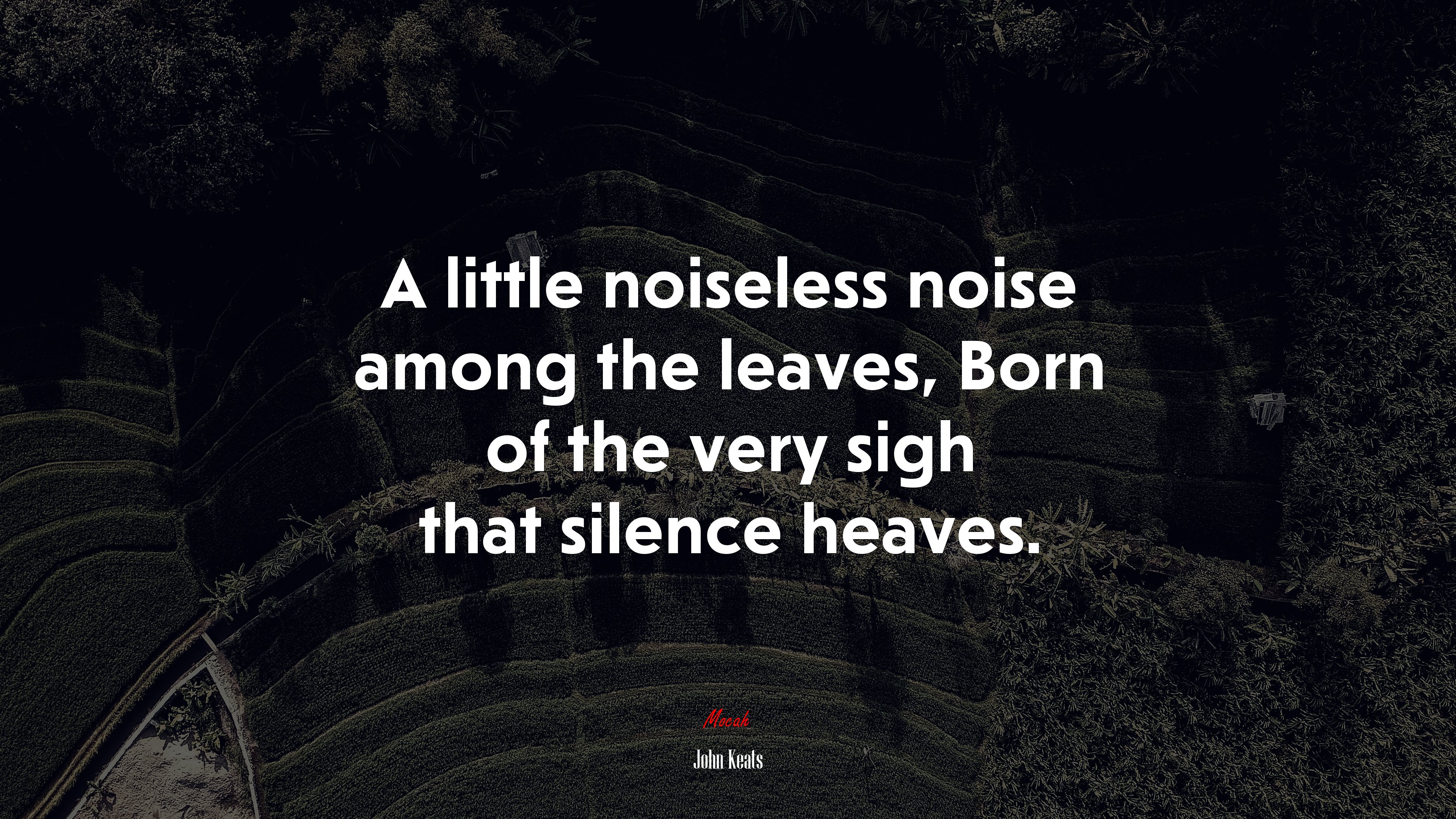 A little noiseless noise among the leaves, Born of the very sigh that silence heaves. | John Keats quote HD Wallpaper