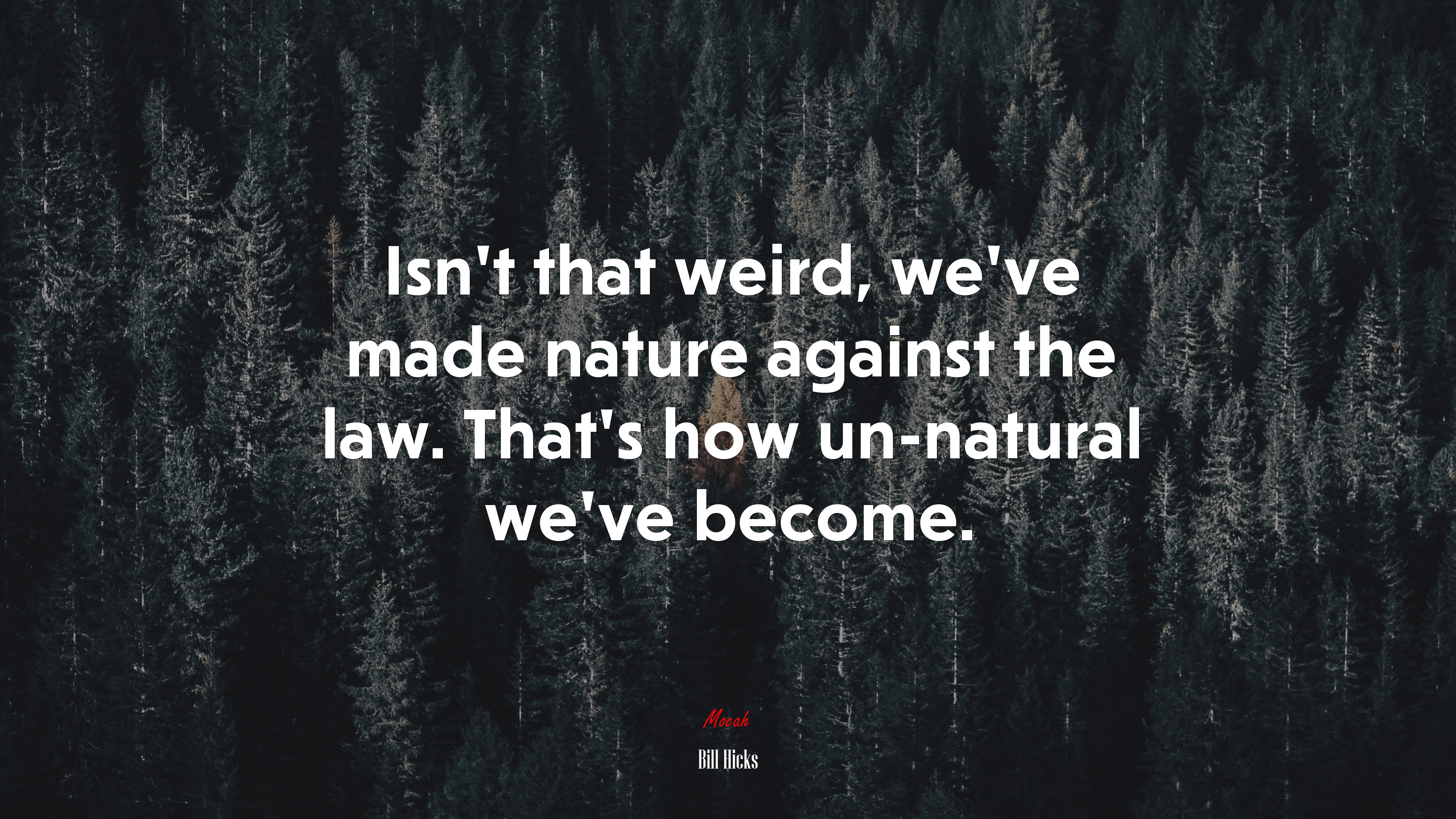 Isn’t that weird, we’ve made nature against the law. That’s how un-natural we’ve become. | Bill Hicks quote HD Wallpaper