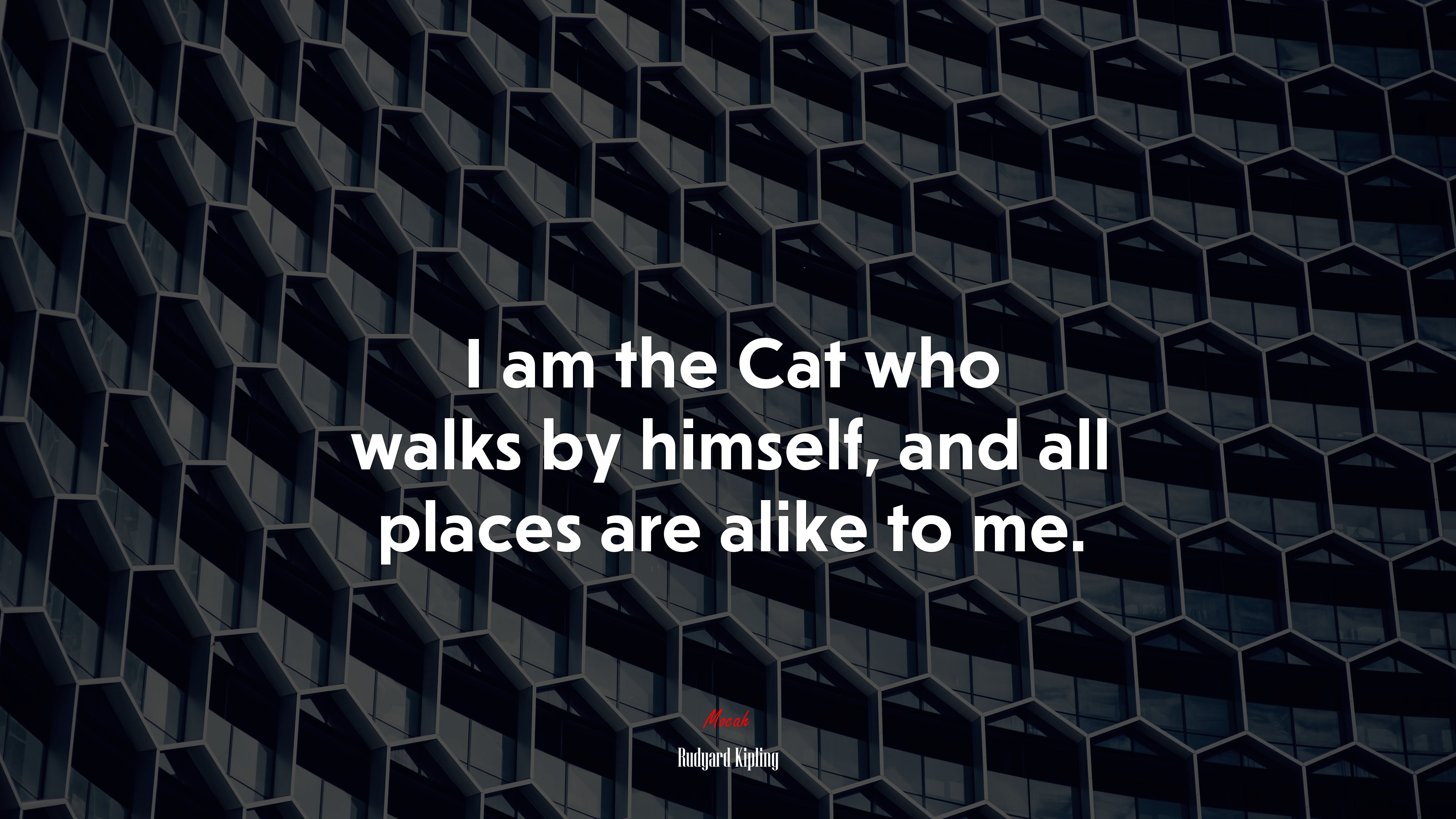 I am the Cat who walks by himself, and all places are alike to me. | Rudyard Kipling quote HD Wallpaper