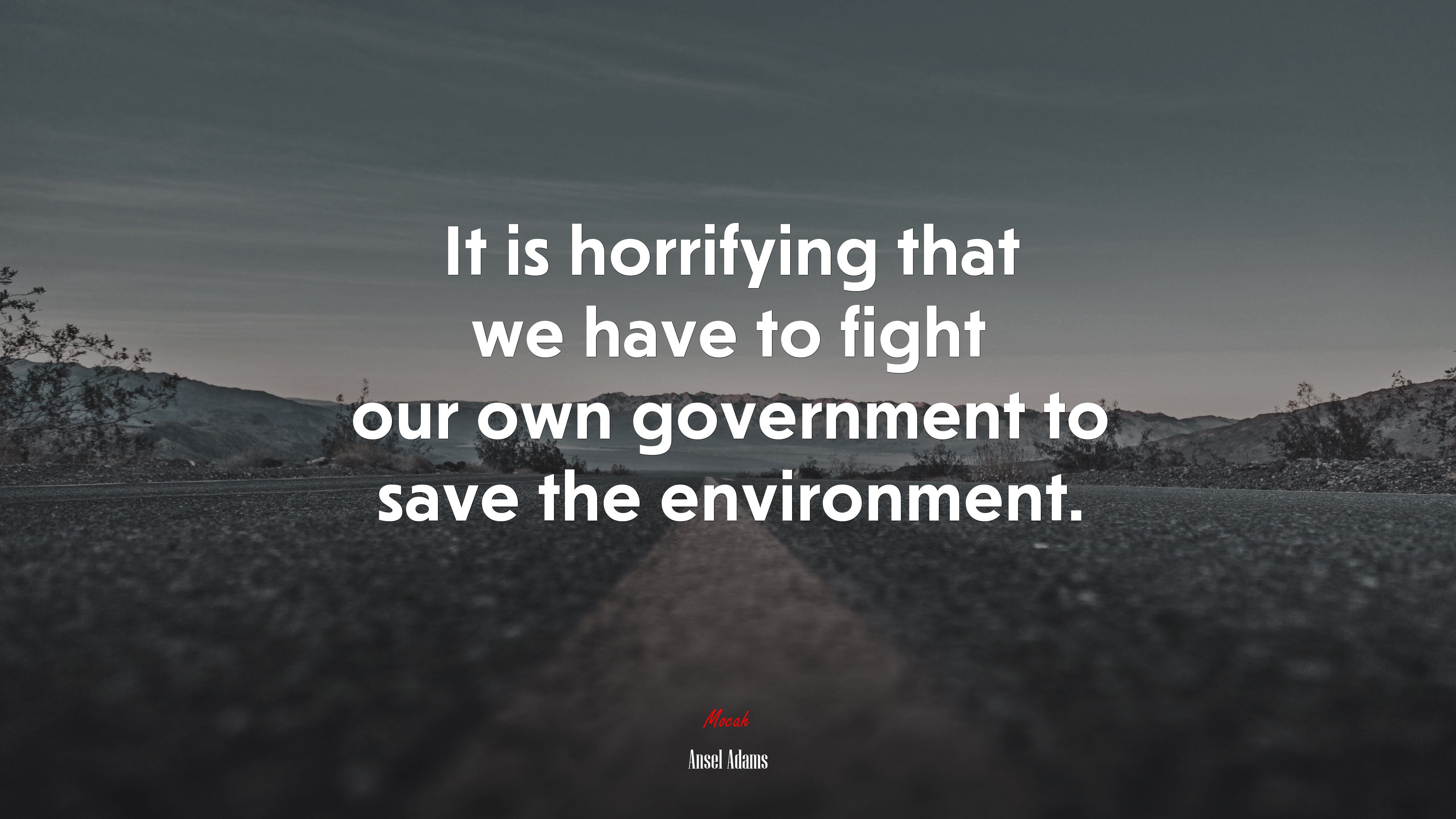 It is horrifying that we have to fight our own government to save the environment. | Ansel Adams quote HD Wallpaper