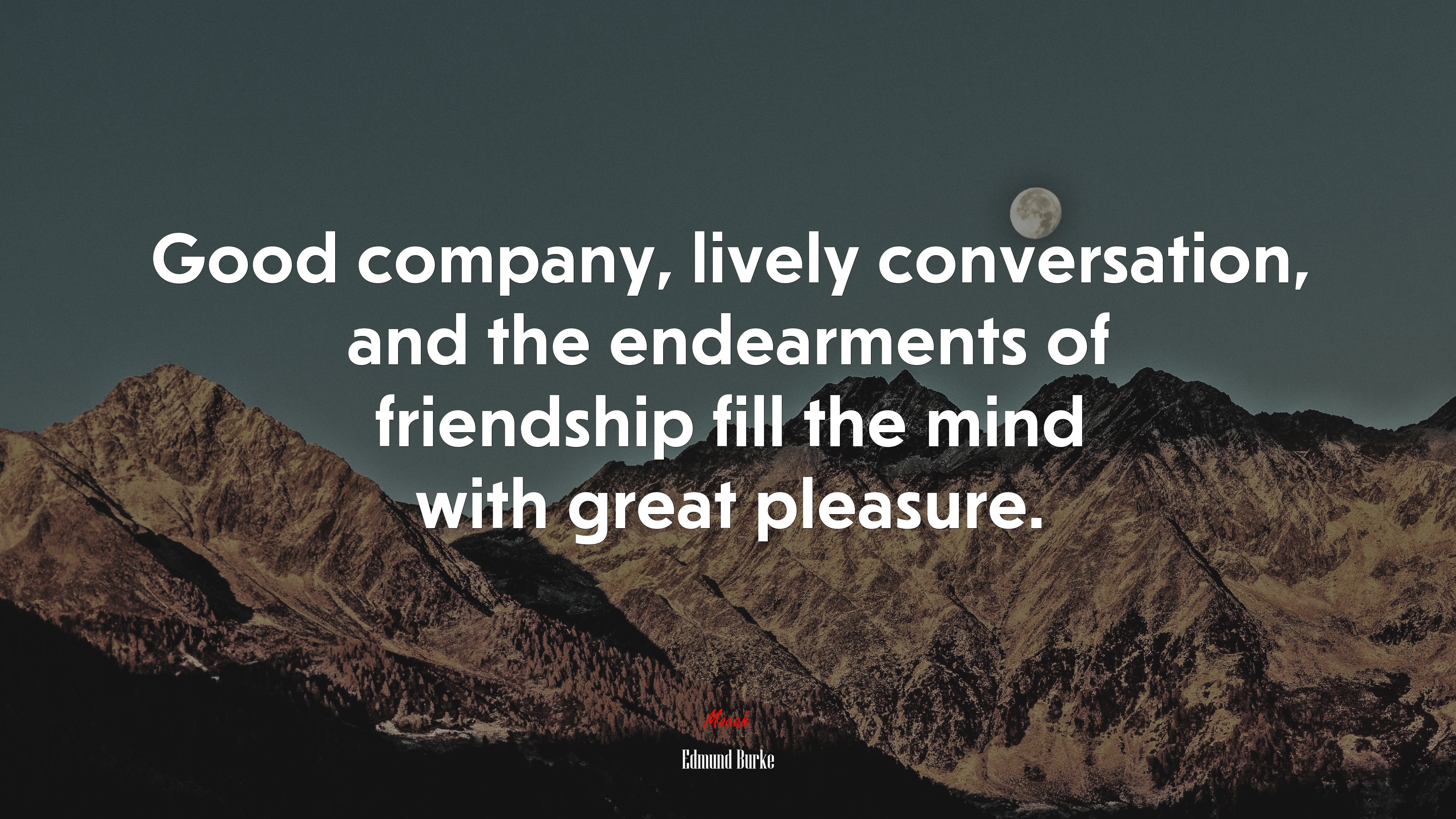 Good company, lively conversation, and the endearments of friendship fill the mind with great pleasure. | Edmund Burke quote HD Wallpaper