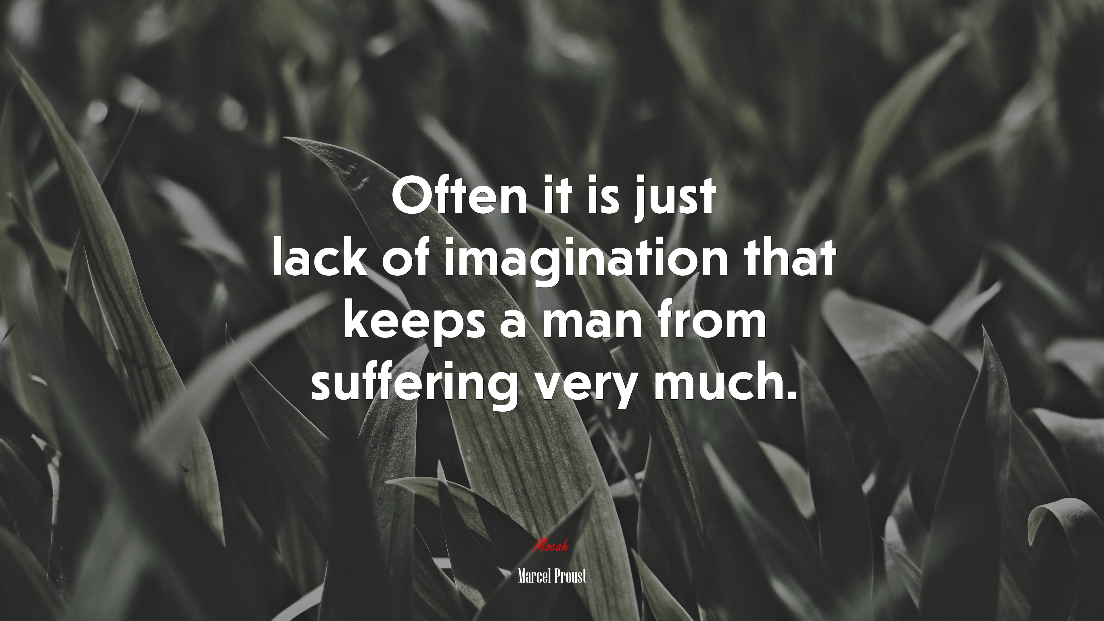 Often it is just lack of imagination that keeps a man from suffering very much. | Marcel Proust quote HD Wallpaper