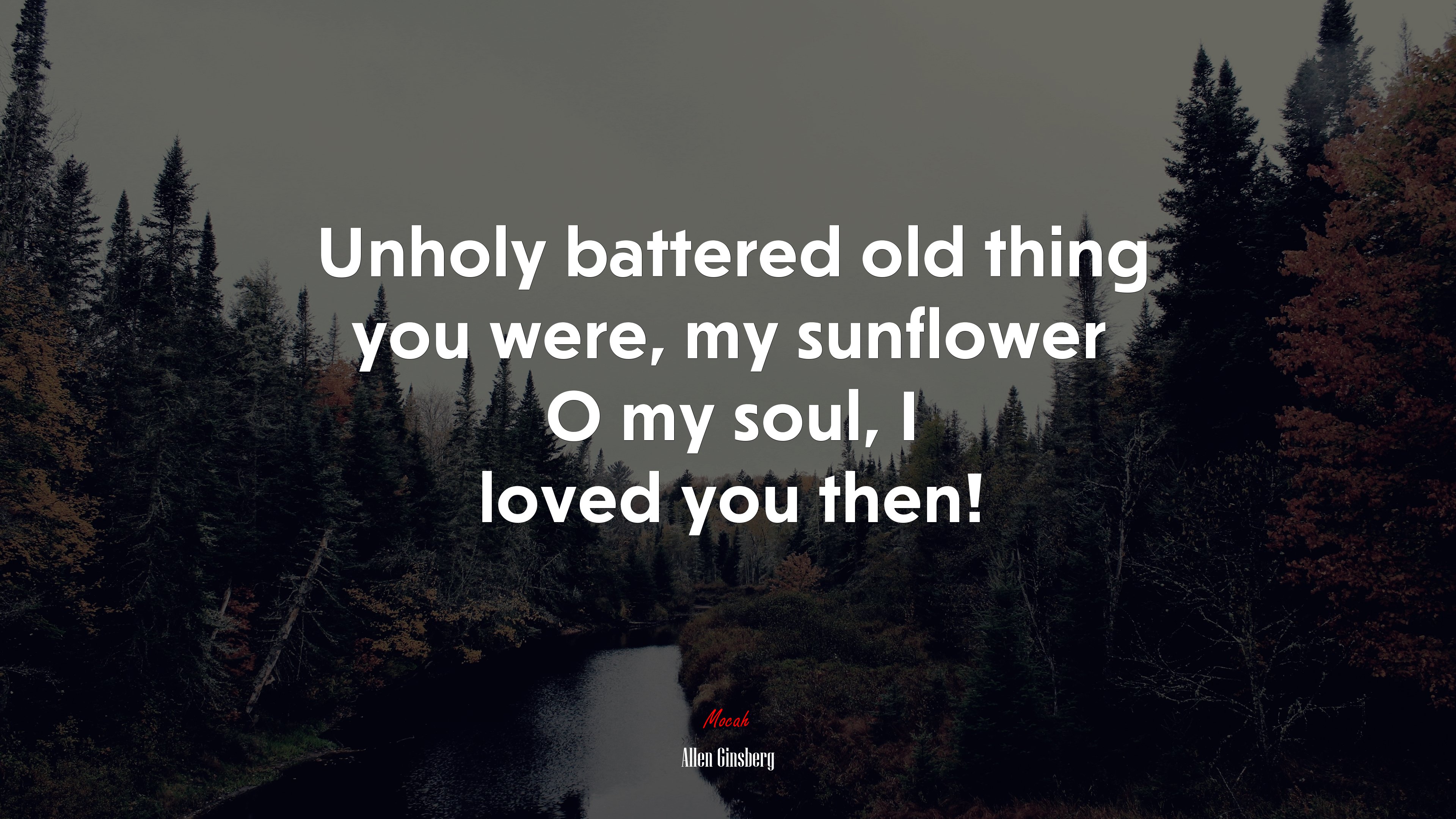 Unholy battered old thing you were, my sunflower O my soul, I loved you then! | Allen Ginsberg quote HD Wallpaper