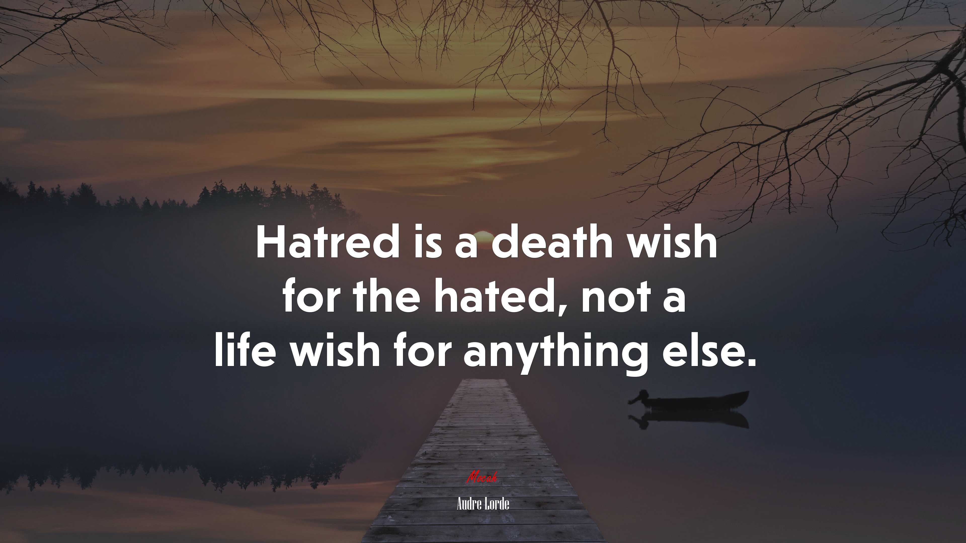Hatred is a death wish for the hated, not a life wish for anything else. | Audre Lorde quote HD Wallpaper