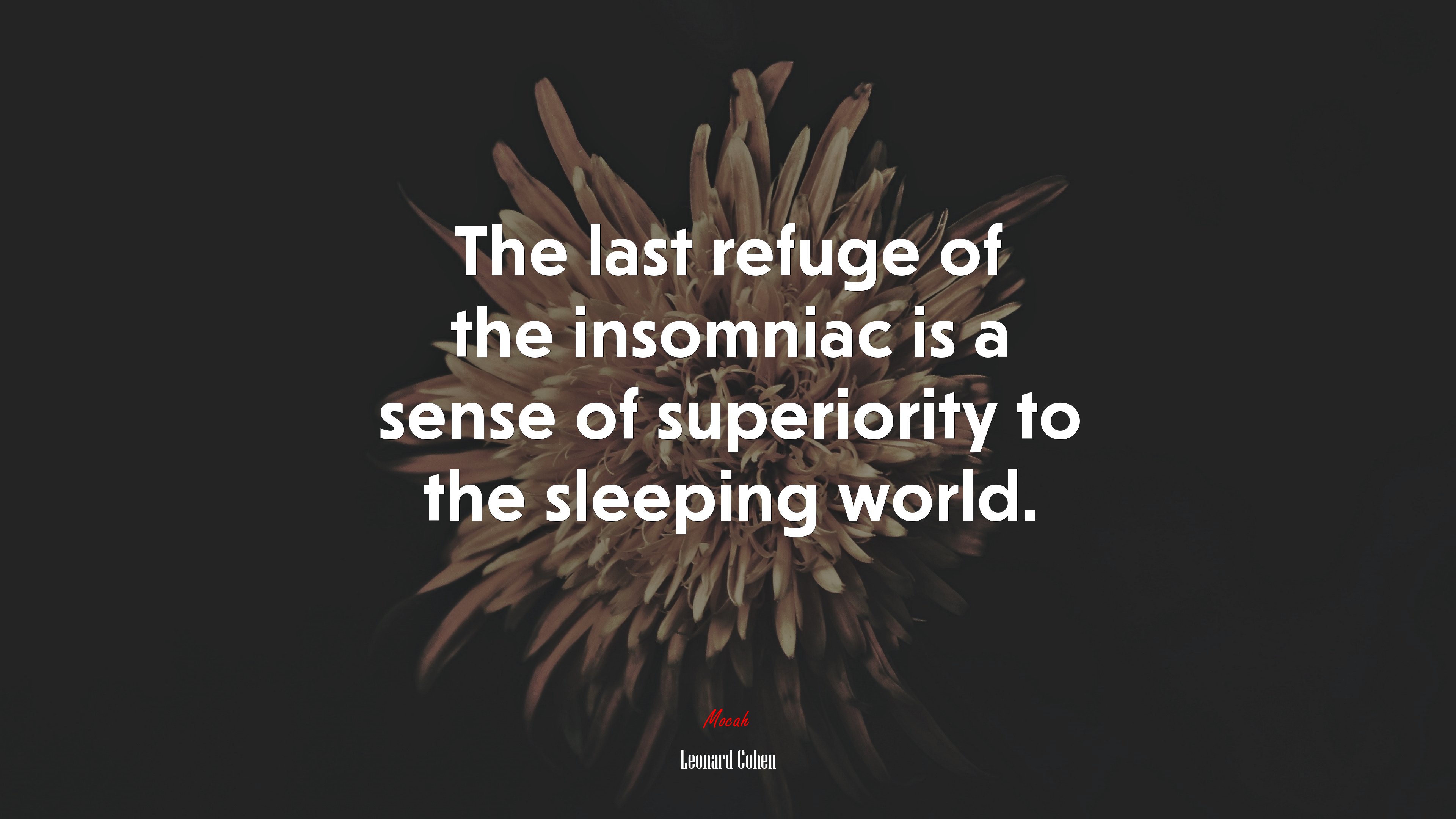 The last refuge of the insomniac is a sense of superiority to the sleeping world. | Leonard Cohen quote HD Wallpaper