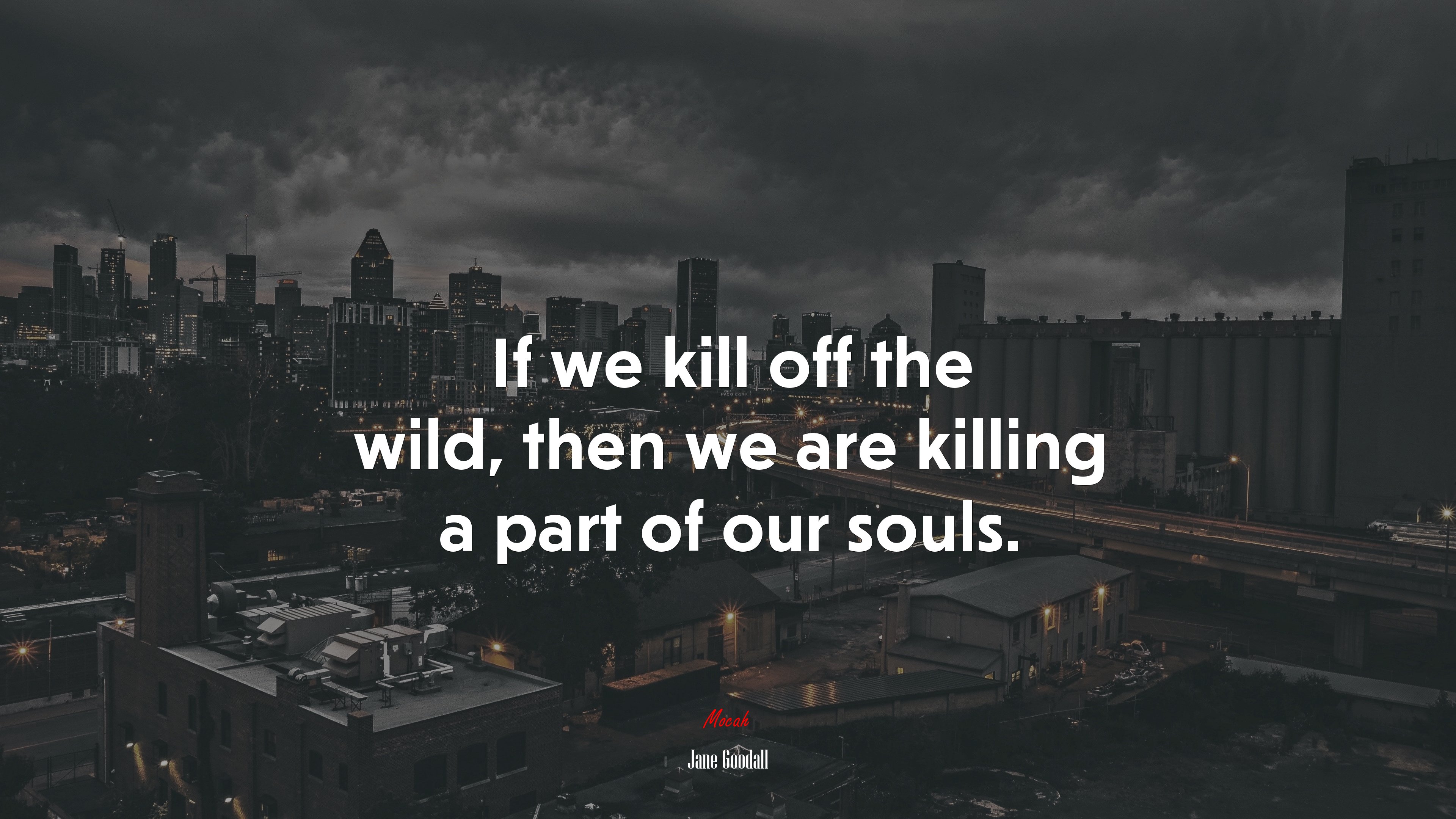 If we kill off the wild, then we are killing a part of our souls. | Jane Goodall quote HD Wallpaper