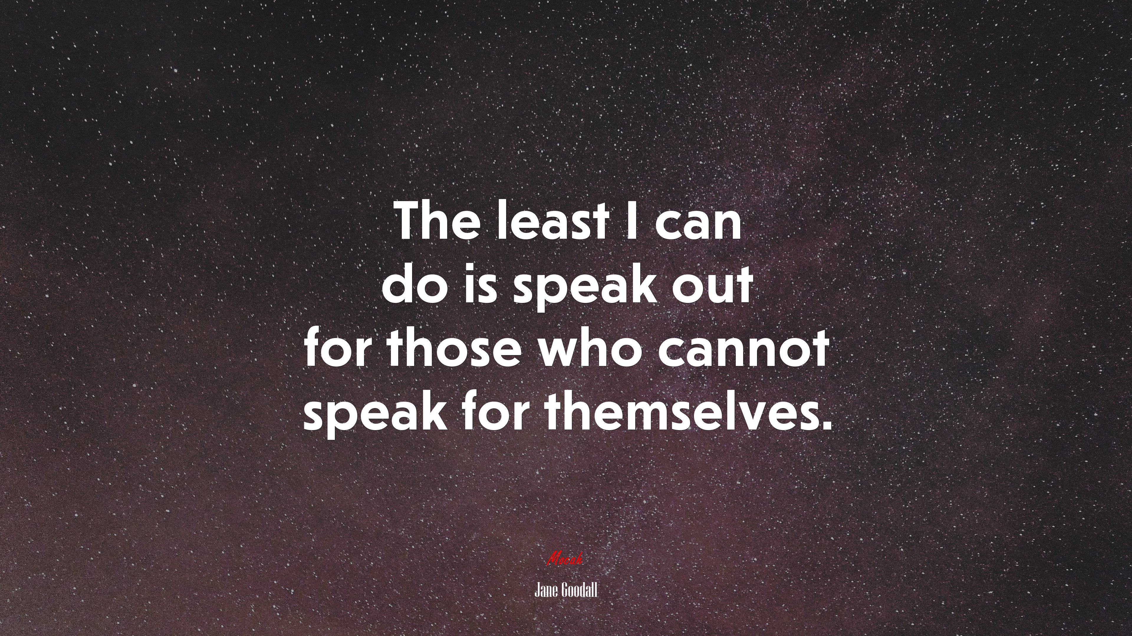 The least I can do is speak out for those who cannot speak for themselves. | Jane Goodall quote HD Wallpaper
