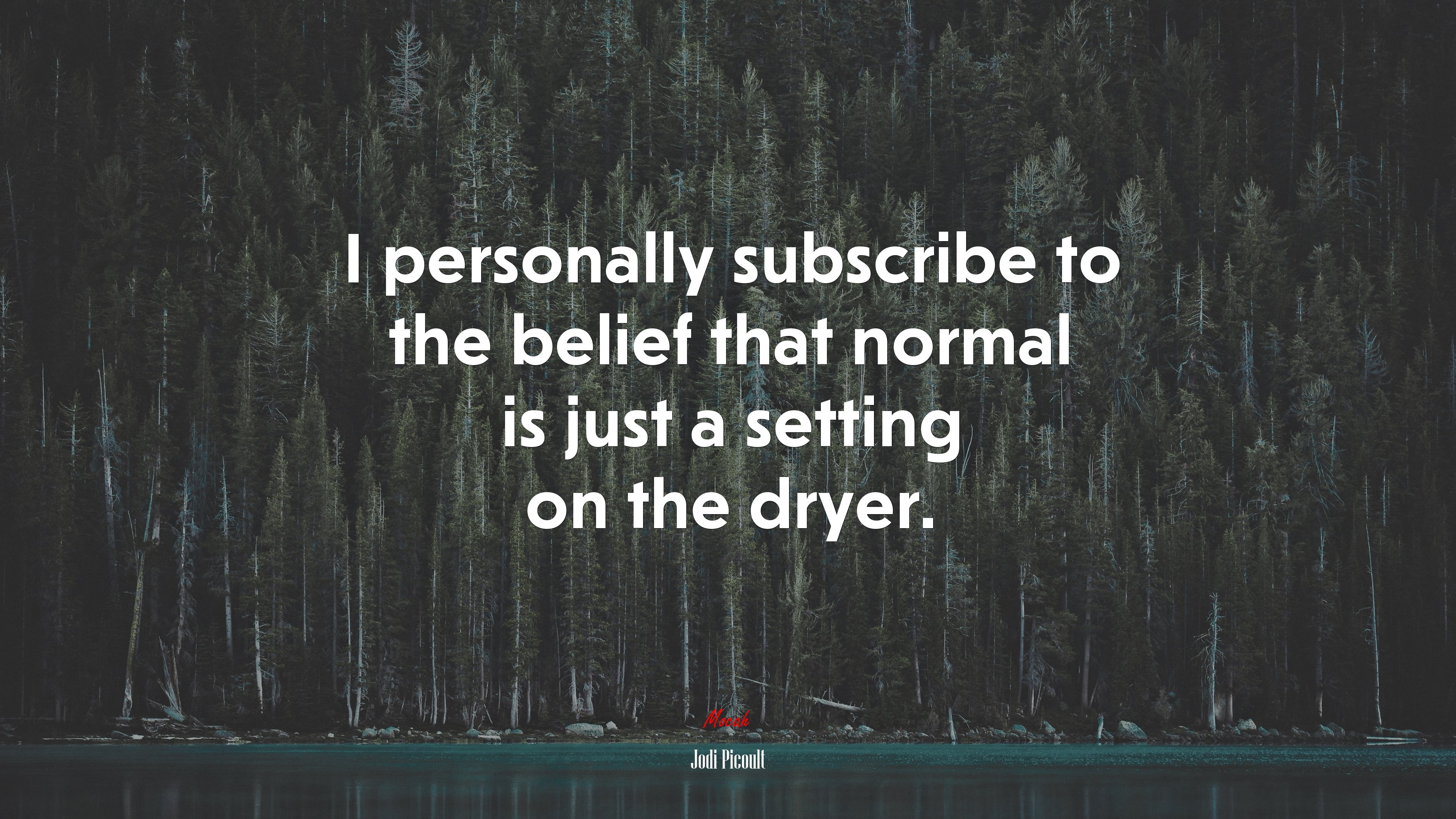 I personally subscribe to the belief that normal is just a setting on the dryer. | Jodi Picoult quote HD Wallpaper