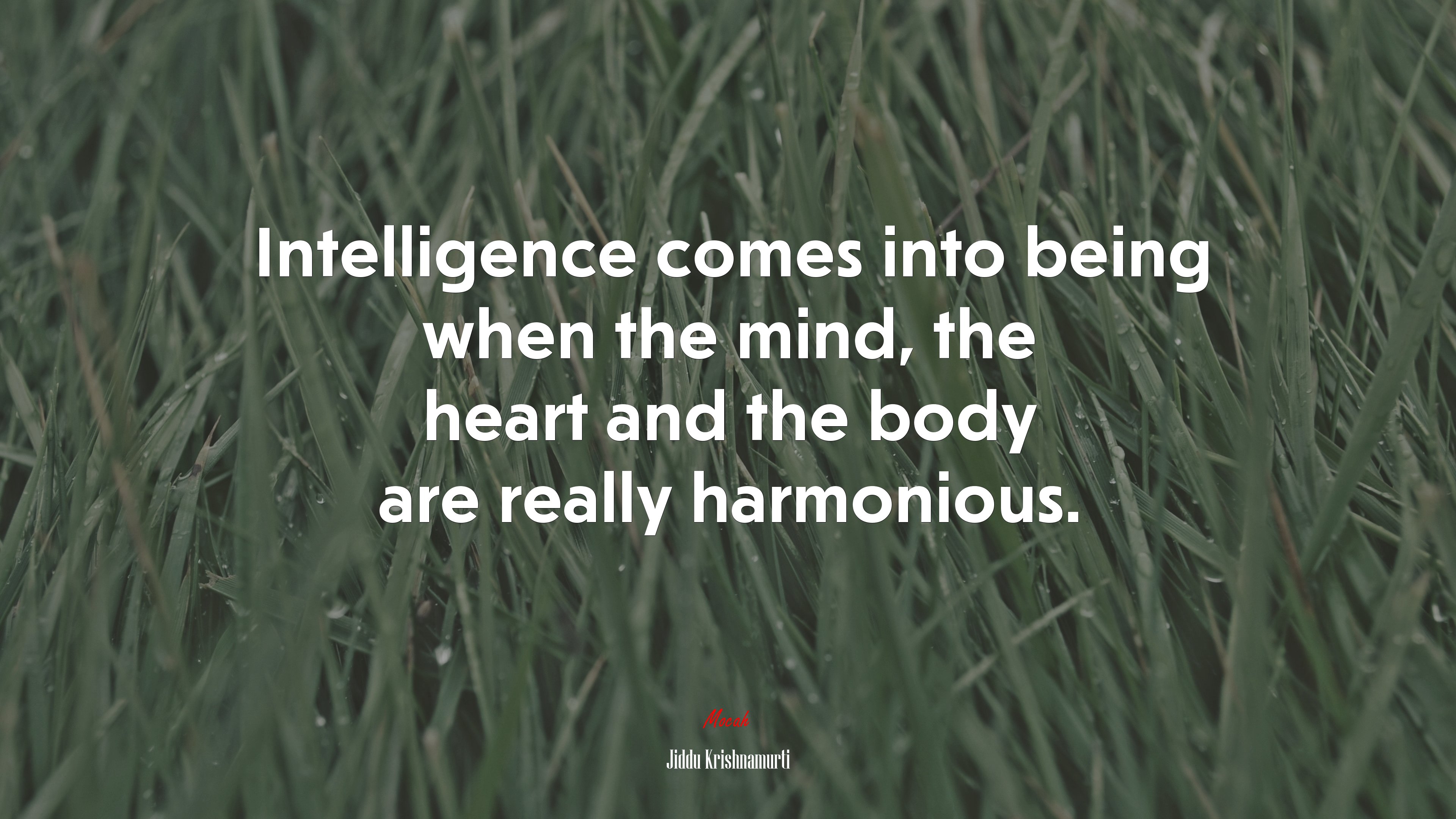 Intelligence comes into being when the mind, the heart and the body are really harmonious. | Jiddu Krishnamurti quote HD Wallpaper