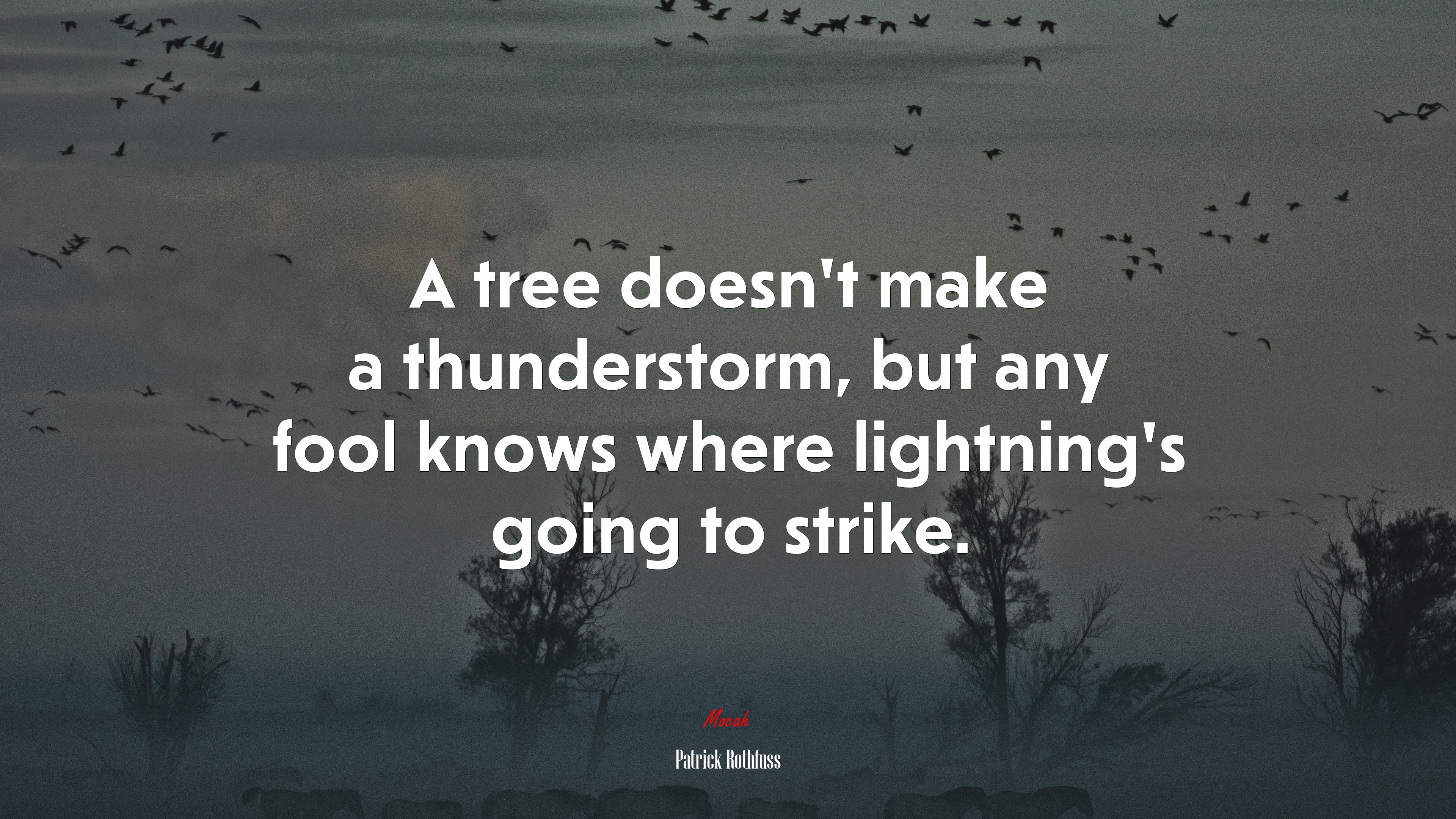 A tree doesn’t make a thunderstorm, but any fool knows where lightning’s going to strike. | Patrick Rothfuss quote HD Wallpaper