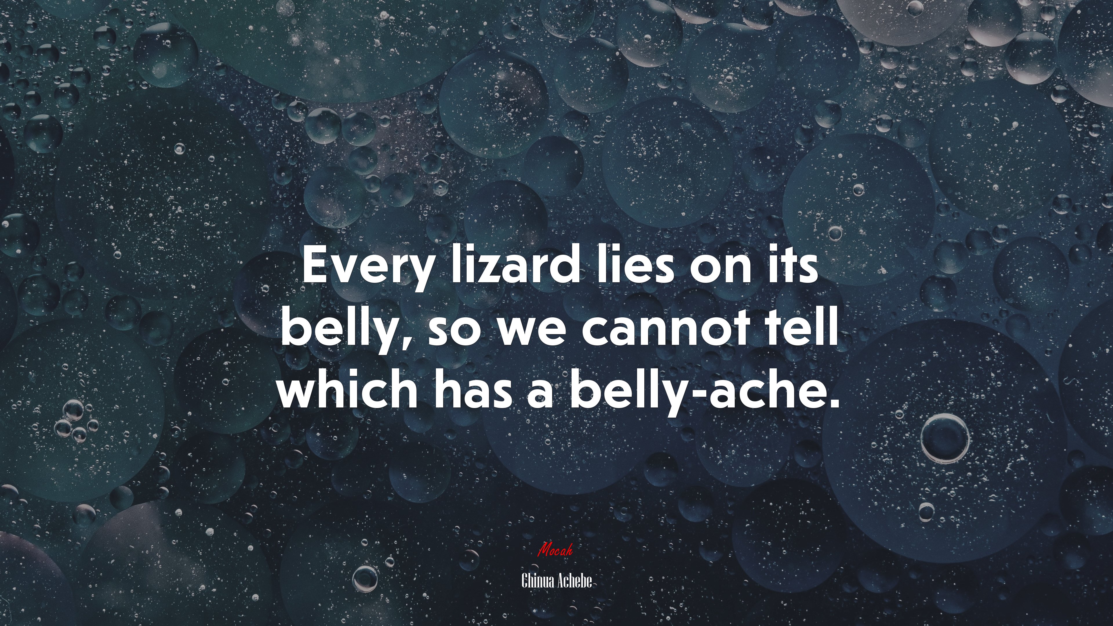 Every lizard lies on its belly, so we cannot tell which has a belly-ache. | Chinua Achebe quote HD Wallpaper