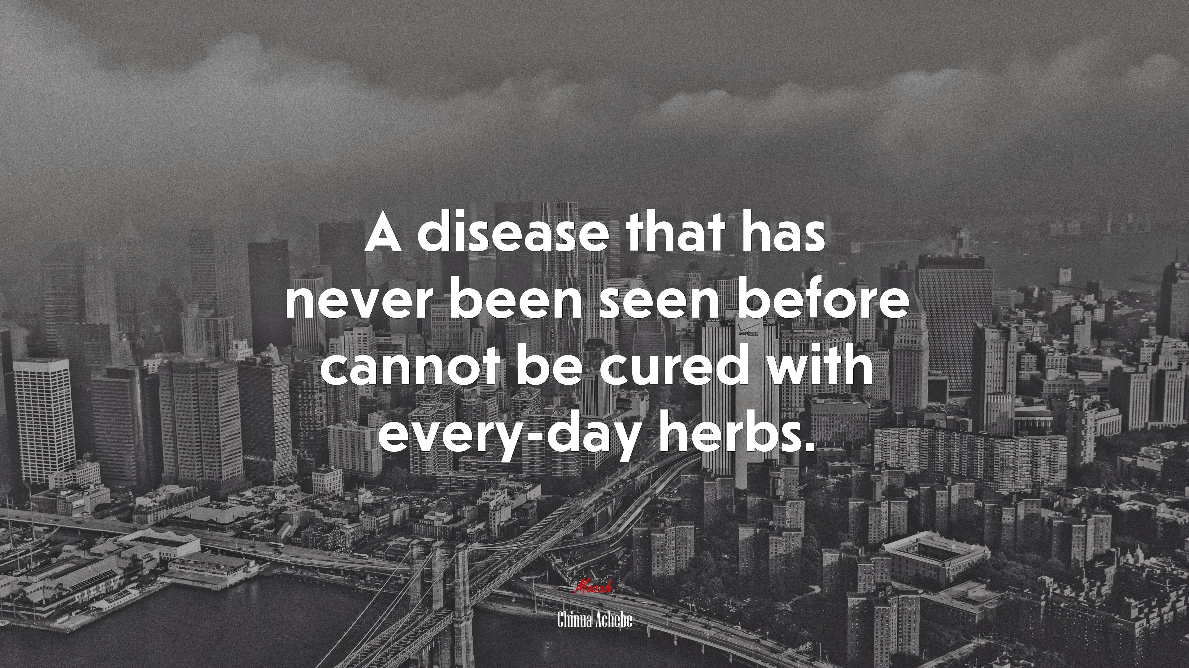A disease that has never been seen before cannot be cured with every-day herbs. | Chinua Achebe quote HD Wallpaper