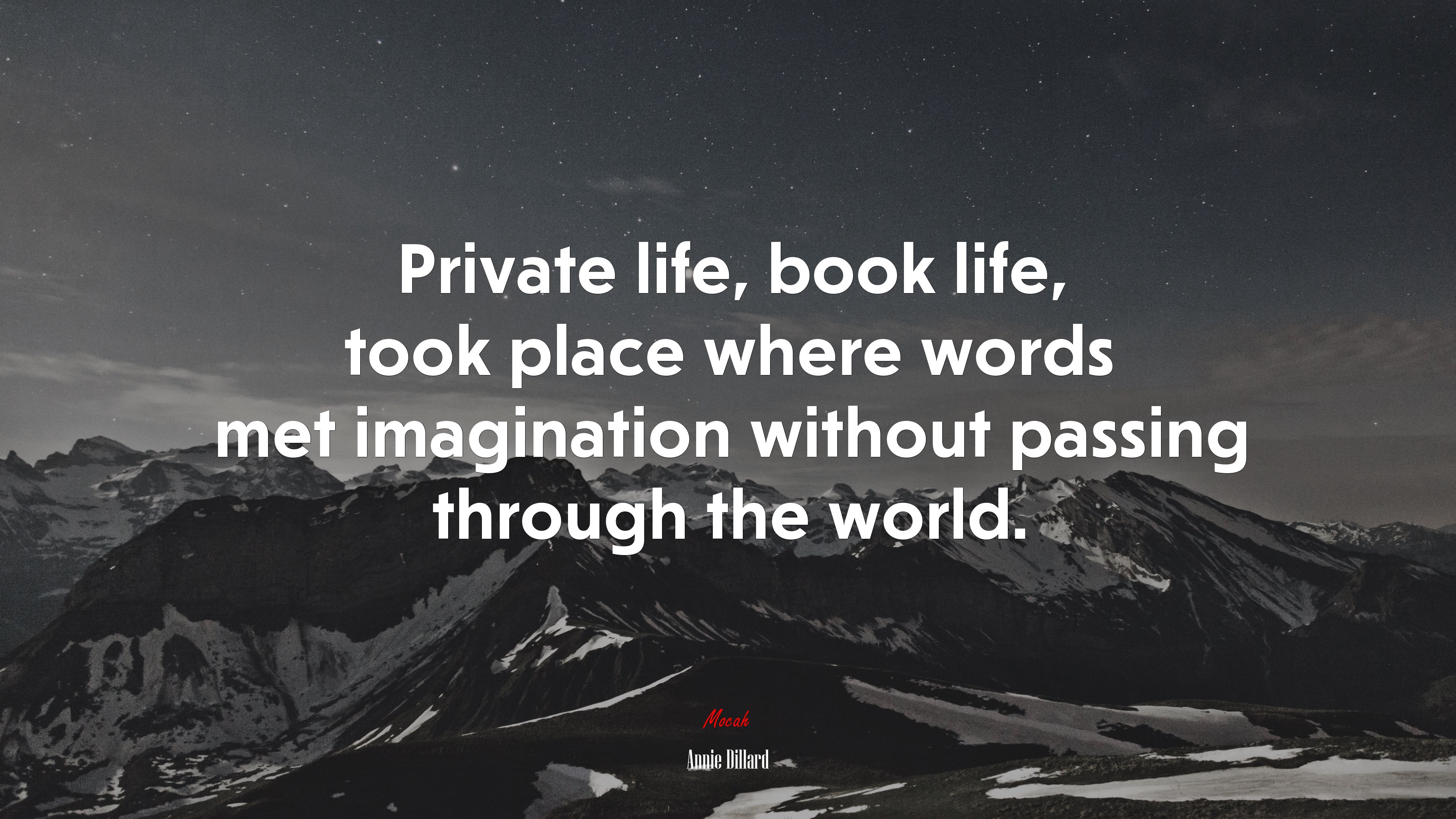Private life, book life, took place where words met imagination without passing through the world. | Annie Dillard quote HD Wallpaper