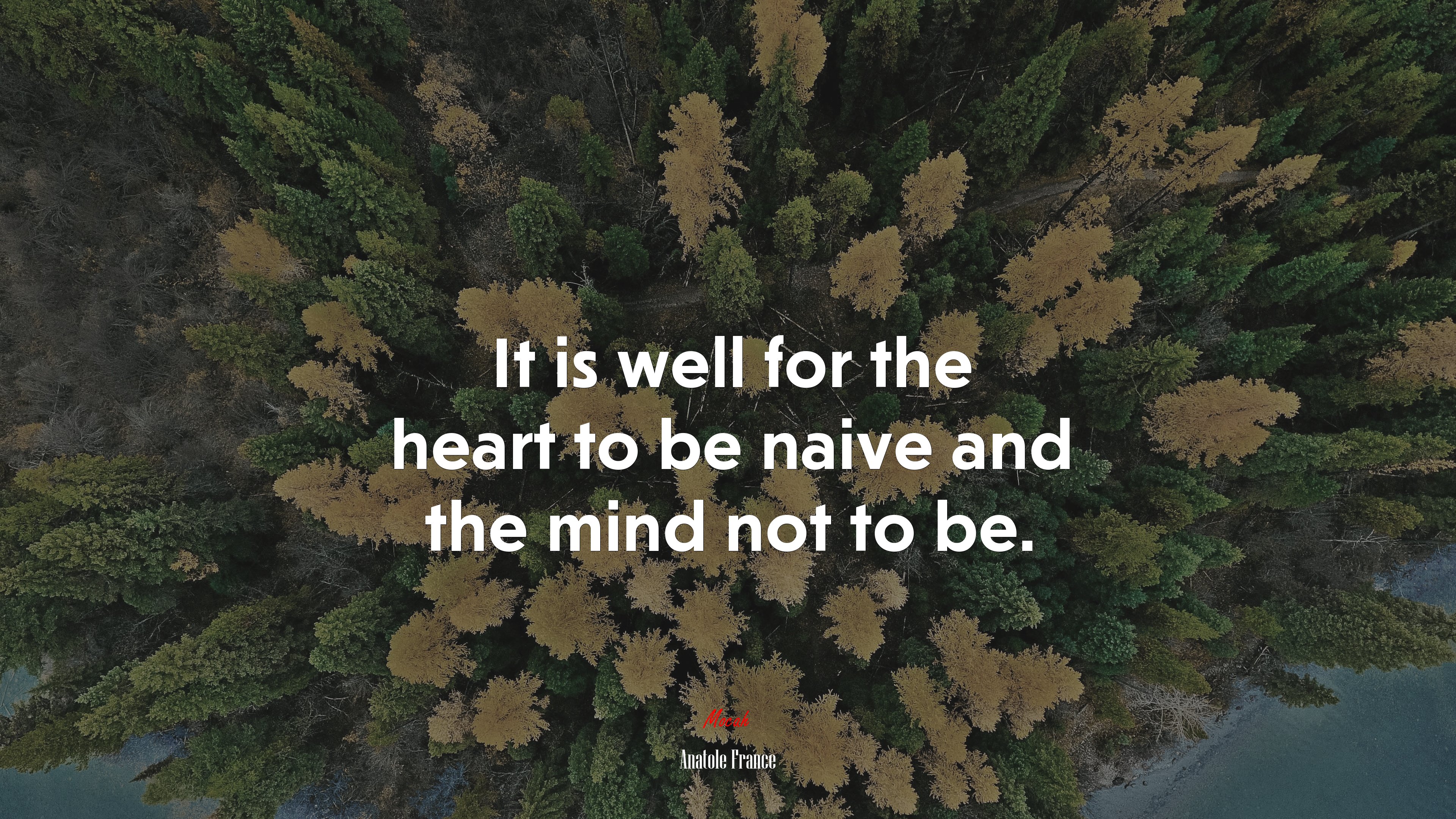 It is well for the heart to be naive and the mind not to be. | Anatole France quote HD Wallpaper