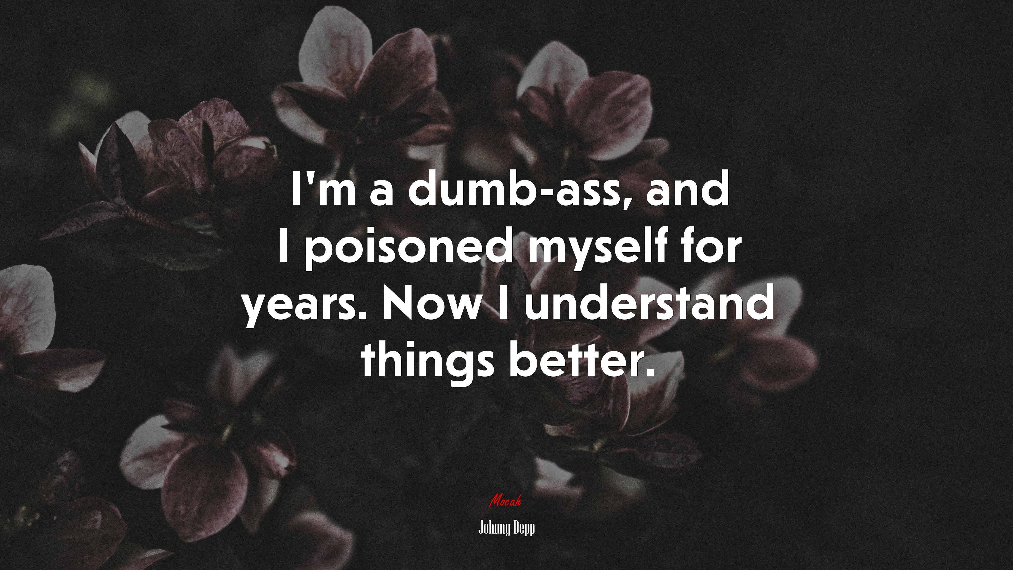 I’m a dumb-ass, and I poisoned myself for years. Now I understand things better. | Johnny Depp quote HD Wallpaper