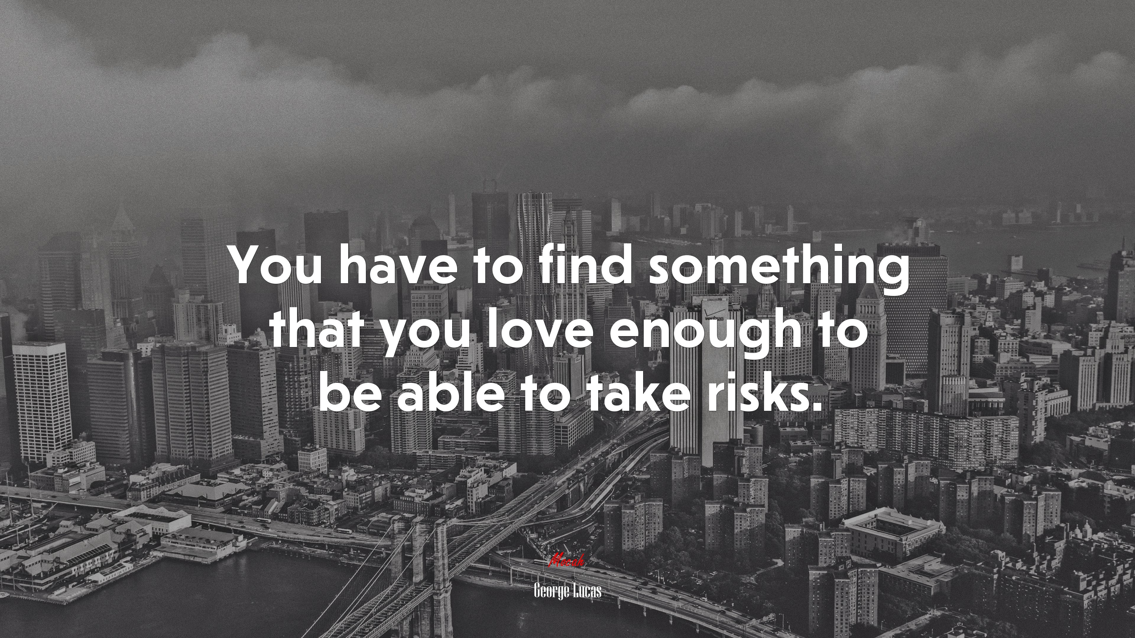You have to find something that you love enough to be able to take risks. | George Lucas quote HD Wallpaper