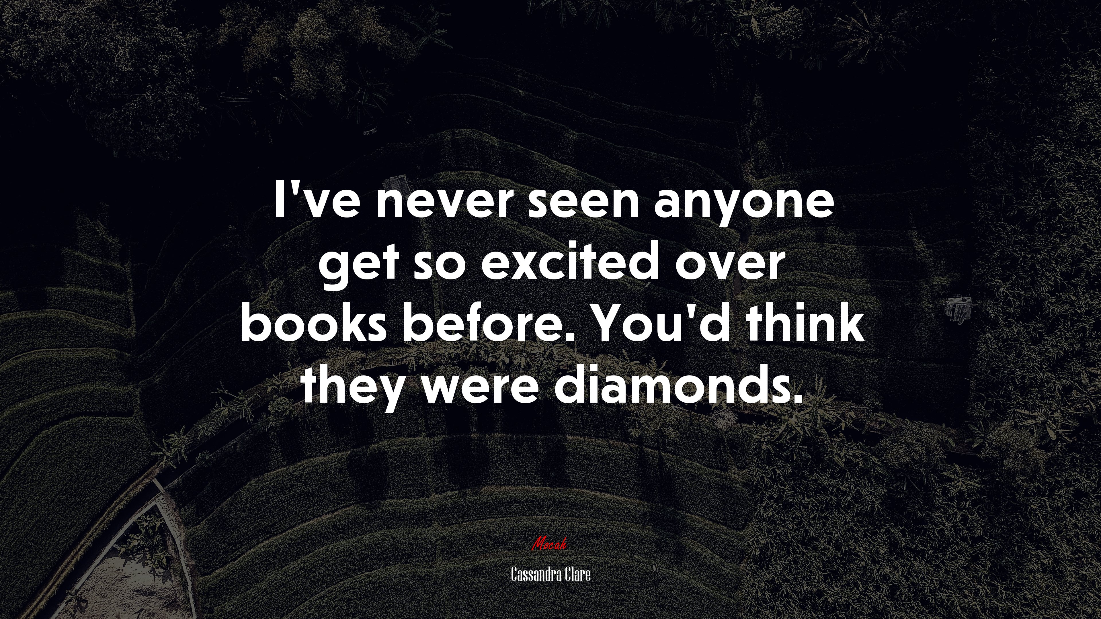 I’ve never seen anyone get so excited over books before. You’d think they were diamonds. | Cassandra Clare quote HD Wallpaper