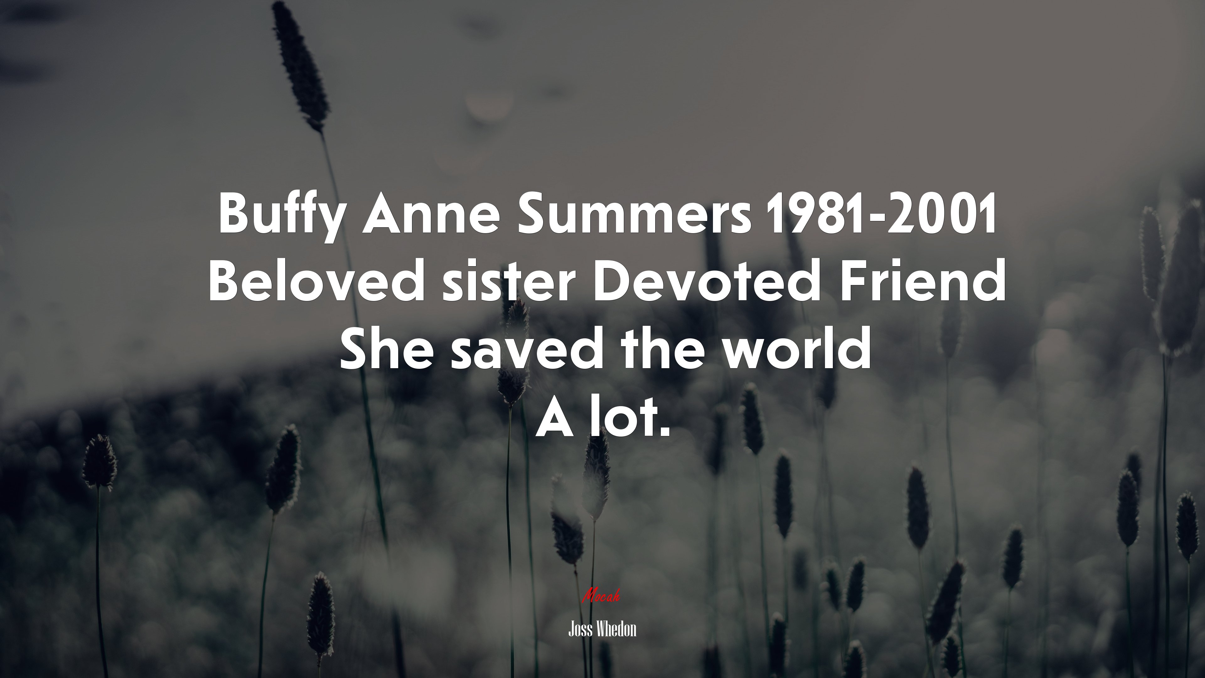 Buffy Anne Summers 1981-2001 Beloved sister Devoted Friend She saved the world A lot. | Joss Whedon quote HD Wallpaper