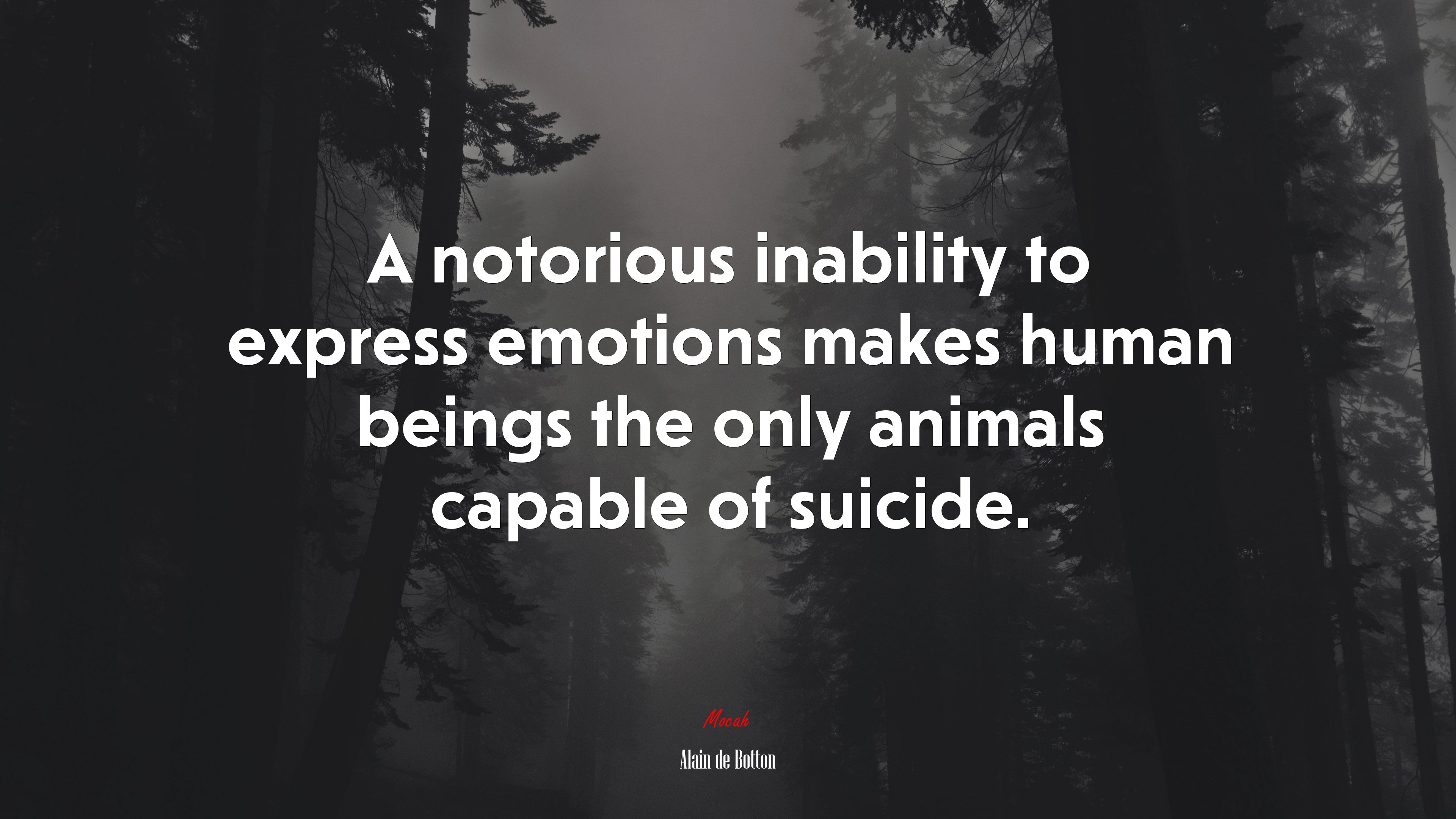 A notorious inability to express emotions makes human beings the only animals capable of suicide. | Alain de Botton quote HD Wallpaper