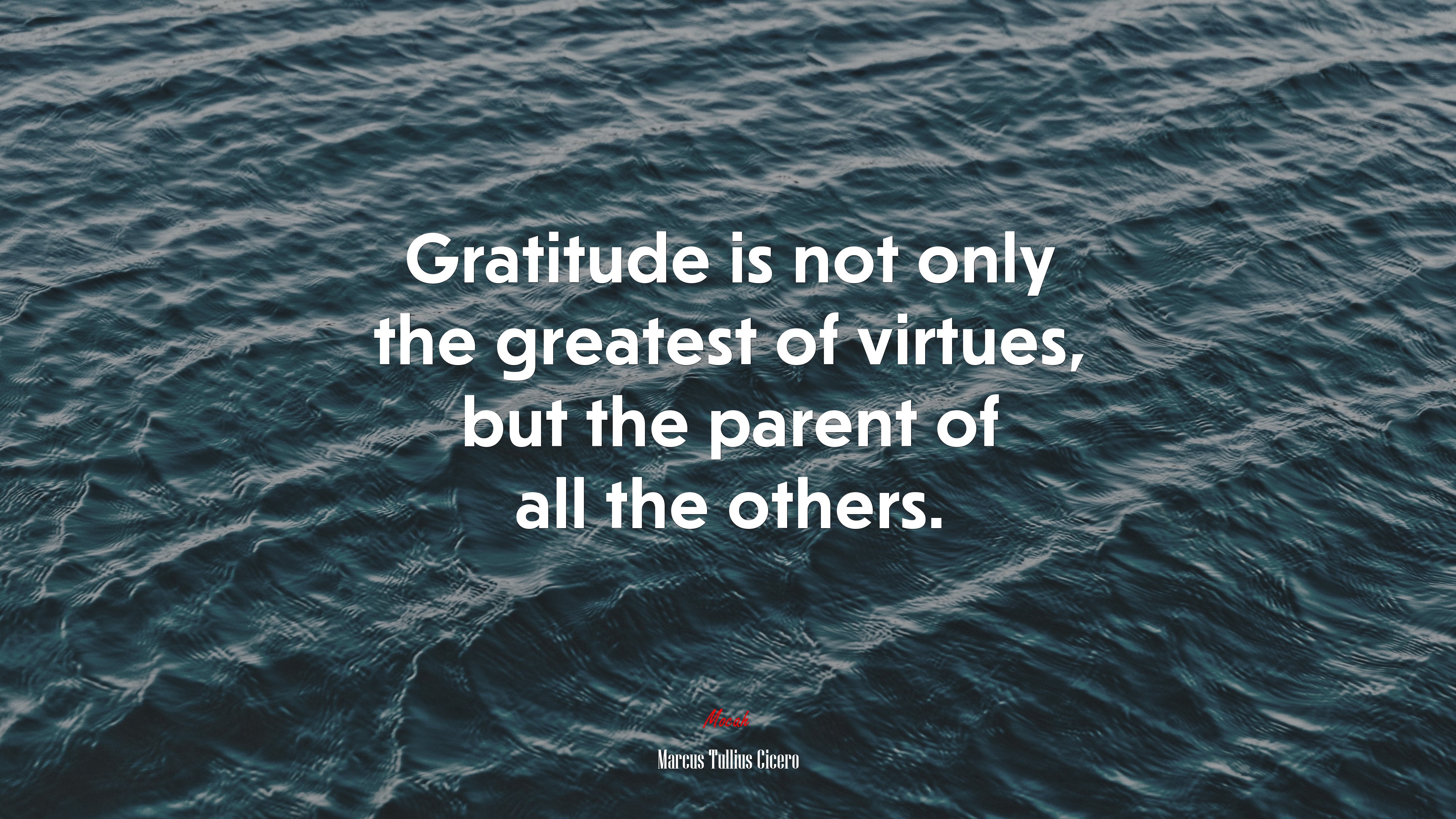 Gratitude is not only the greatest of virtues, but the parent of all the others. | Marcus Tullius Cicero quote HD Wallpaper