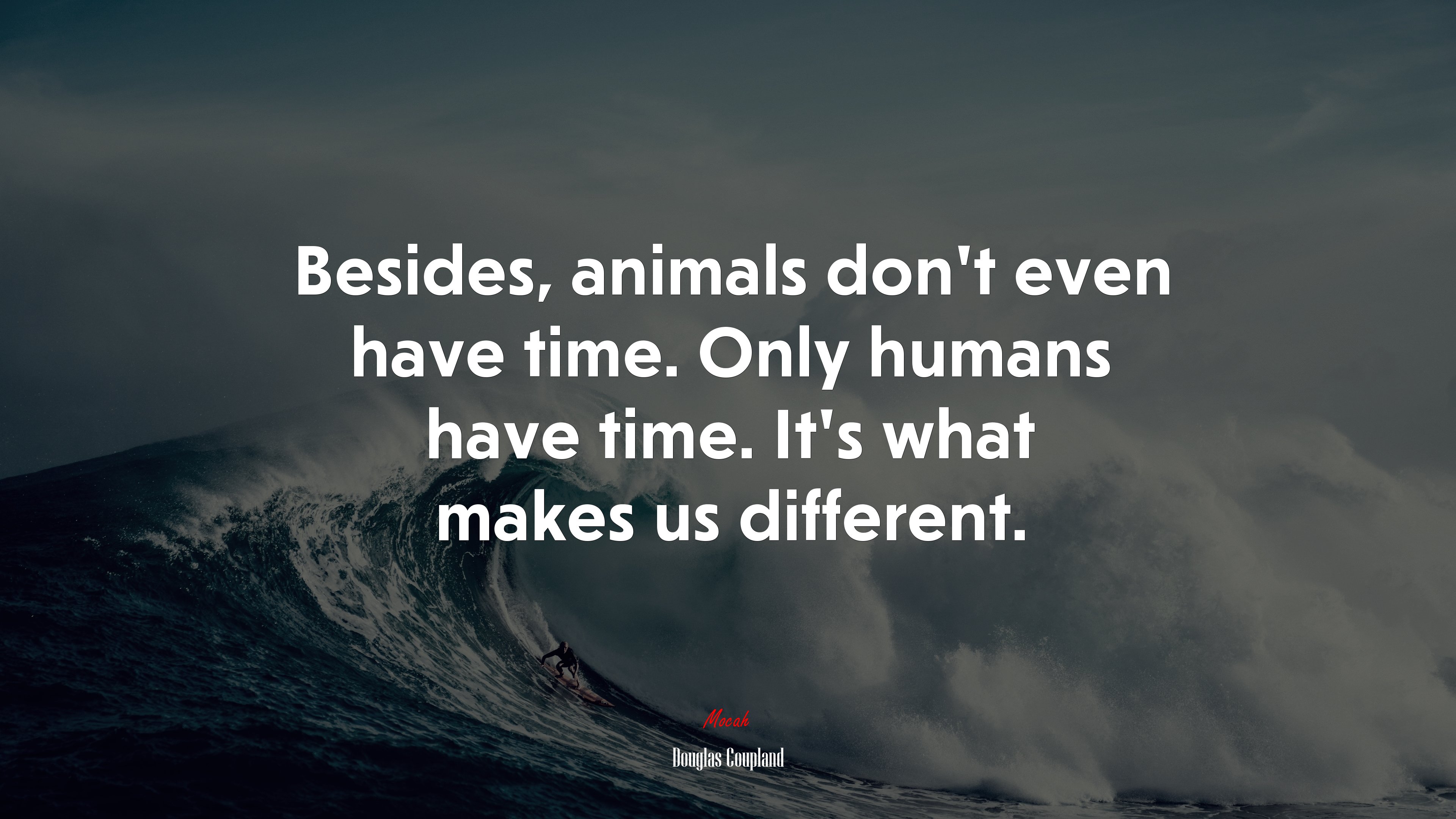 Besides, animals don’t even have time. Only humans have time. It’s what makes us different. | Douglas Coupland quote HD Wallpaper