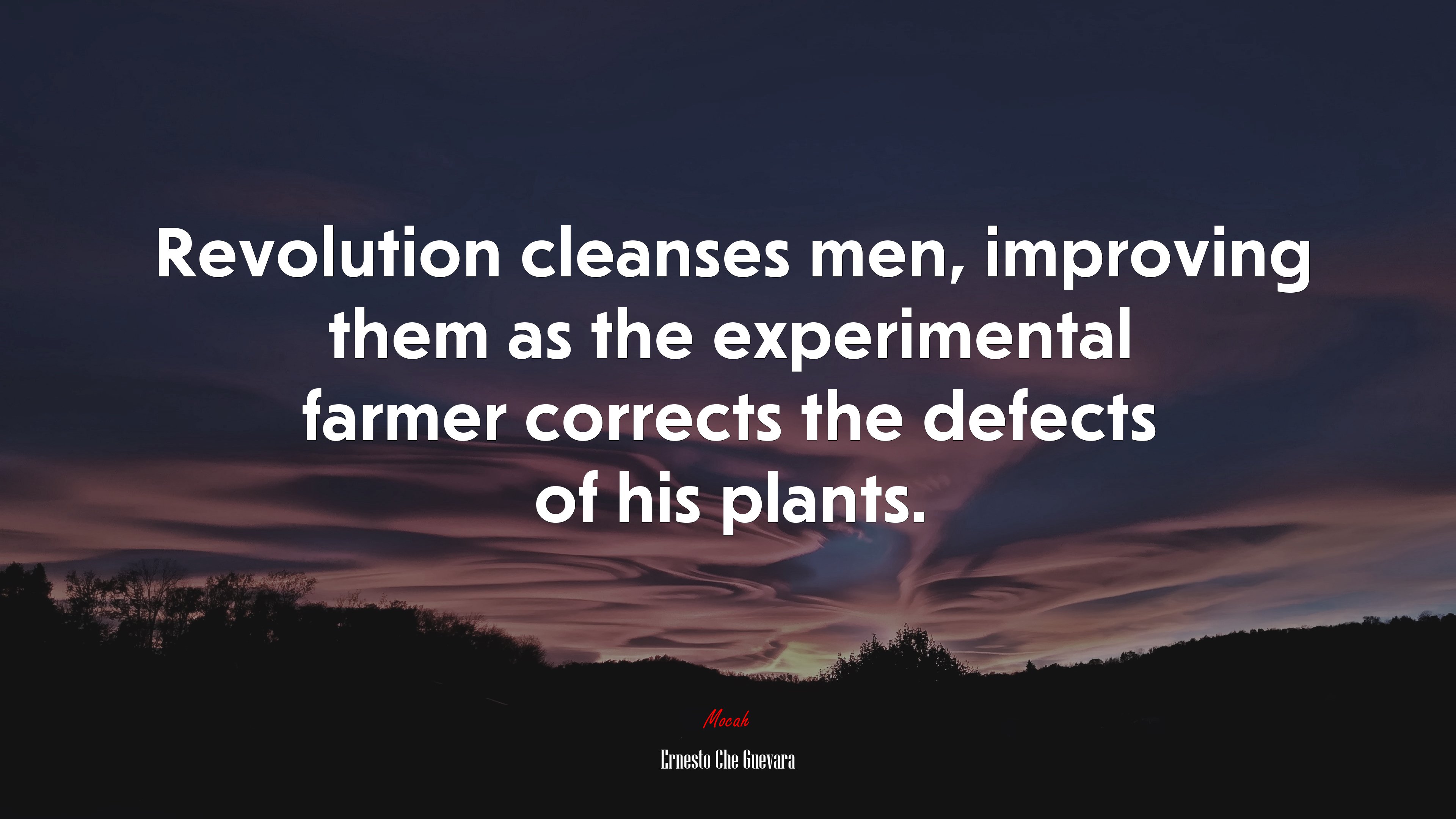 Revolution cleanses men, improving them as the experimental farmer corrects the defects of his plants. | Ernesto Che Guevara quote HD Wallpaper
