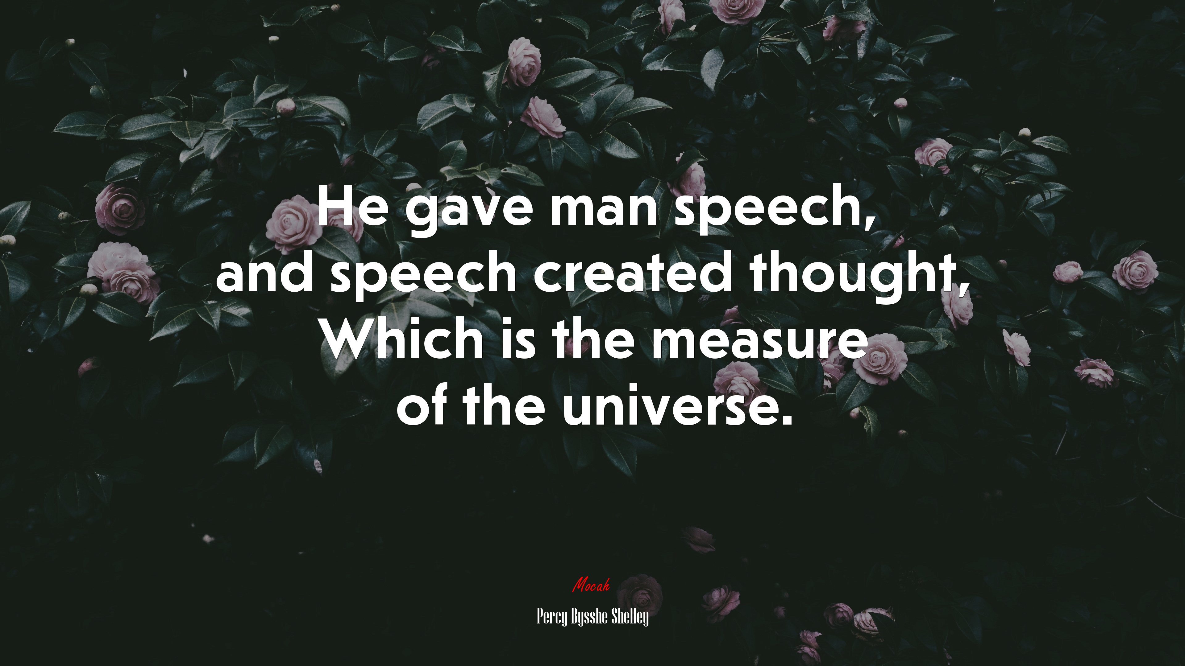 He gave man speech, and speech created thought, Which is the measure of the universe. | Percy Bysshe Shelley quote HD Wallpaper