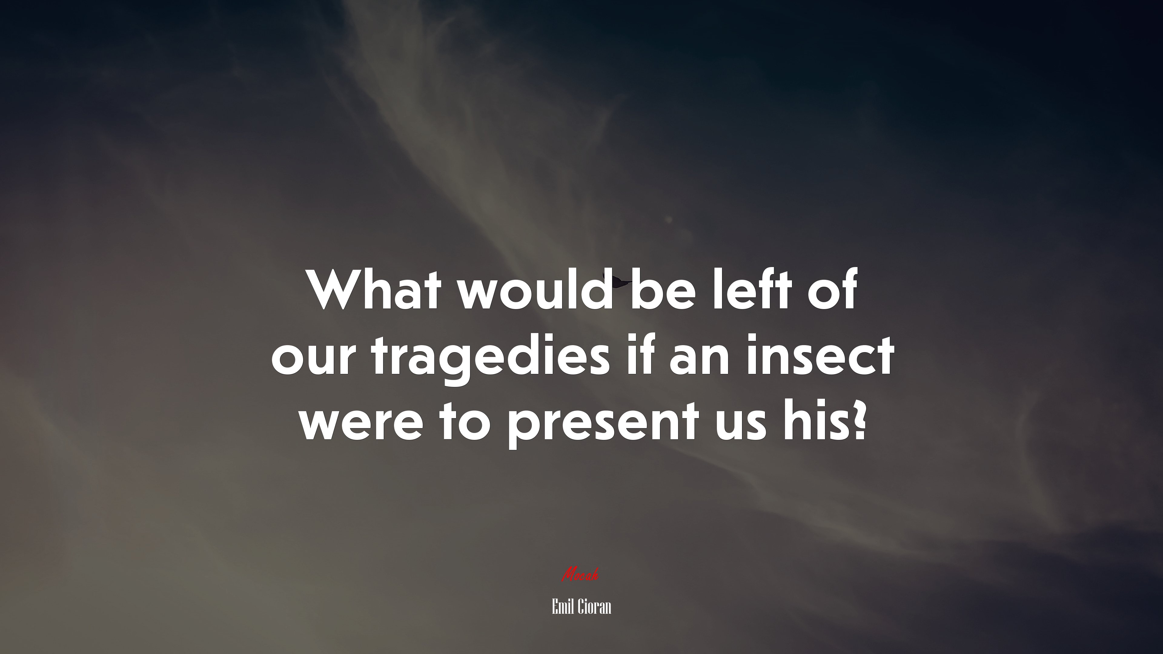 What would be left of our tragedies if an insect were to present us his? | Emil Cioran quote HD Wallpaper