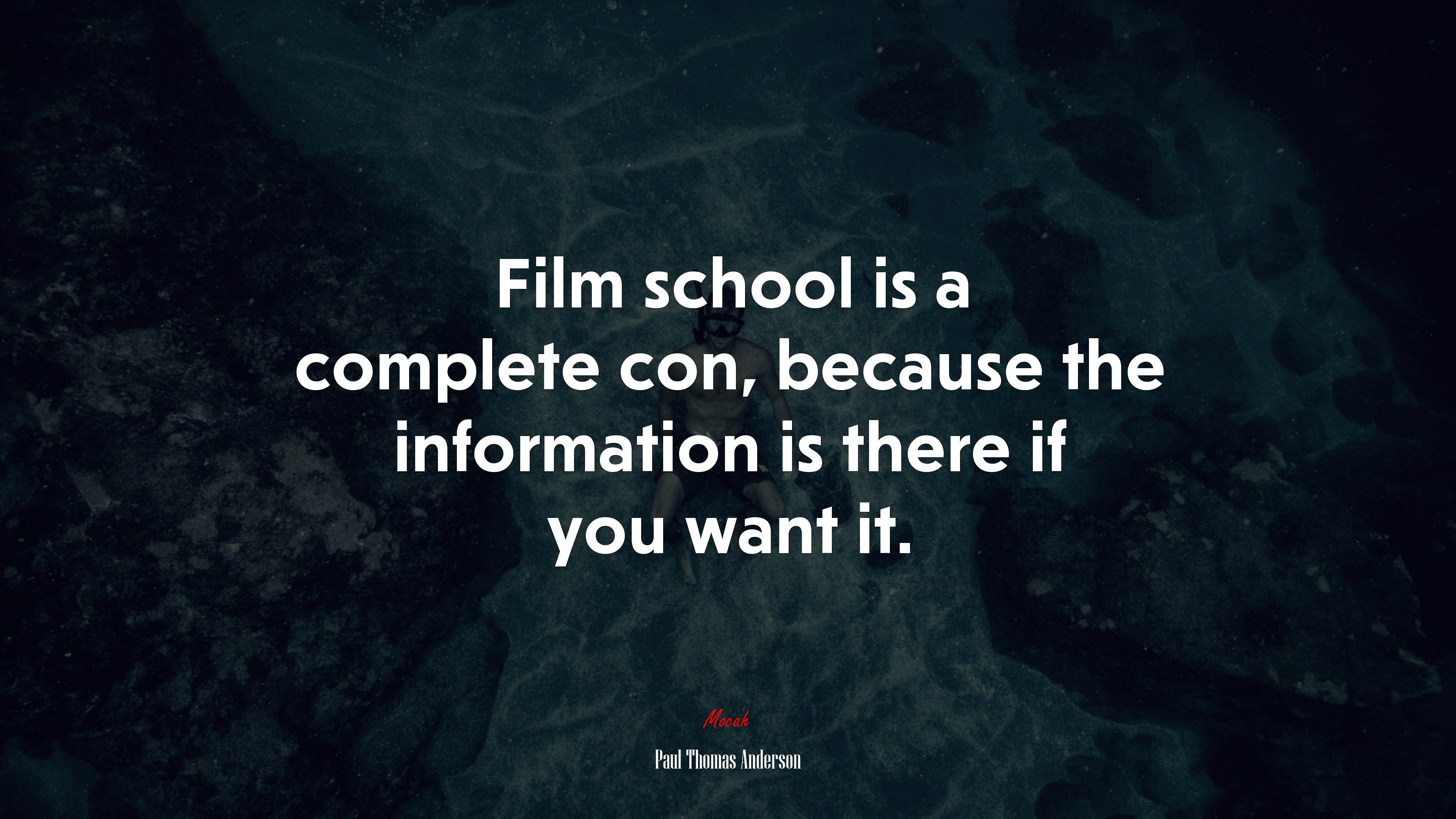 Film school is a complete con, because the information is there if you want it. | Paul Thomas Anderson quote HD Wallpaper