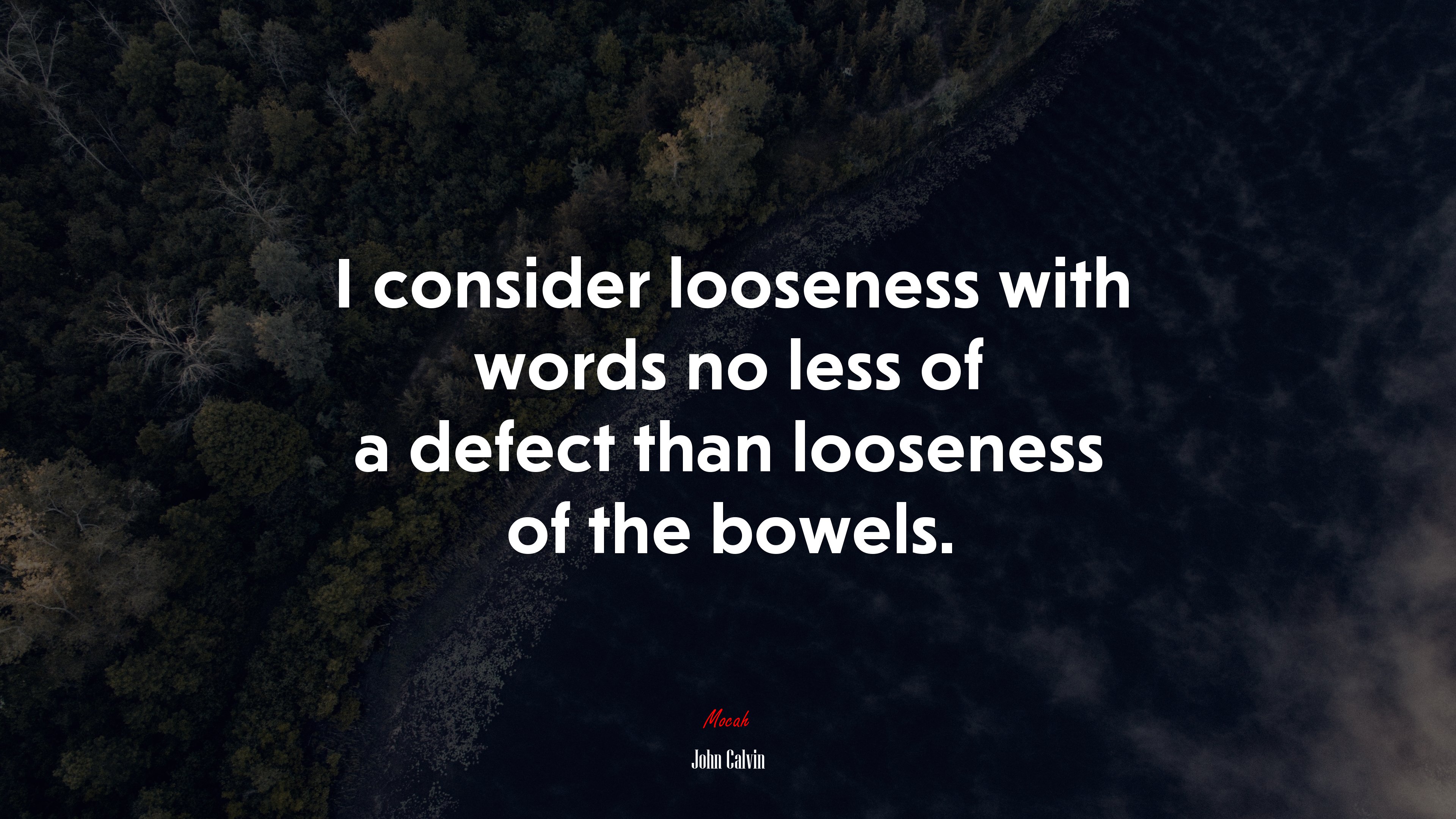 I consider looseness with words no less of a defect than looseness of the bowels. | John Calvin quote HD Wallpaper
