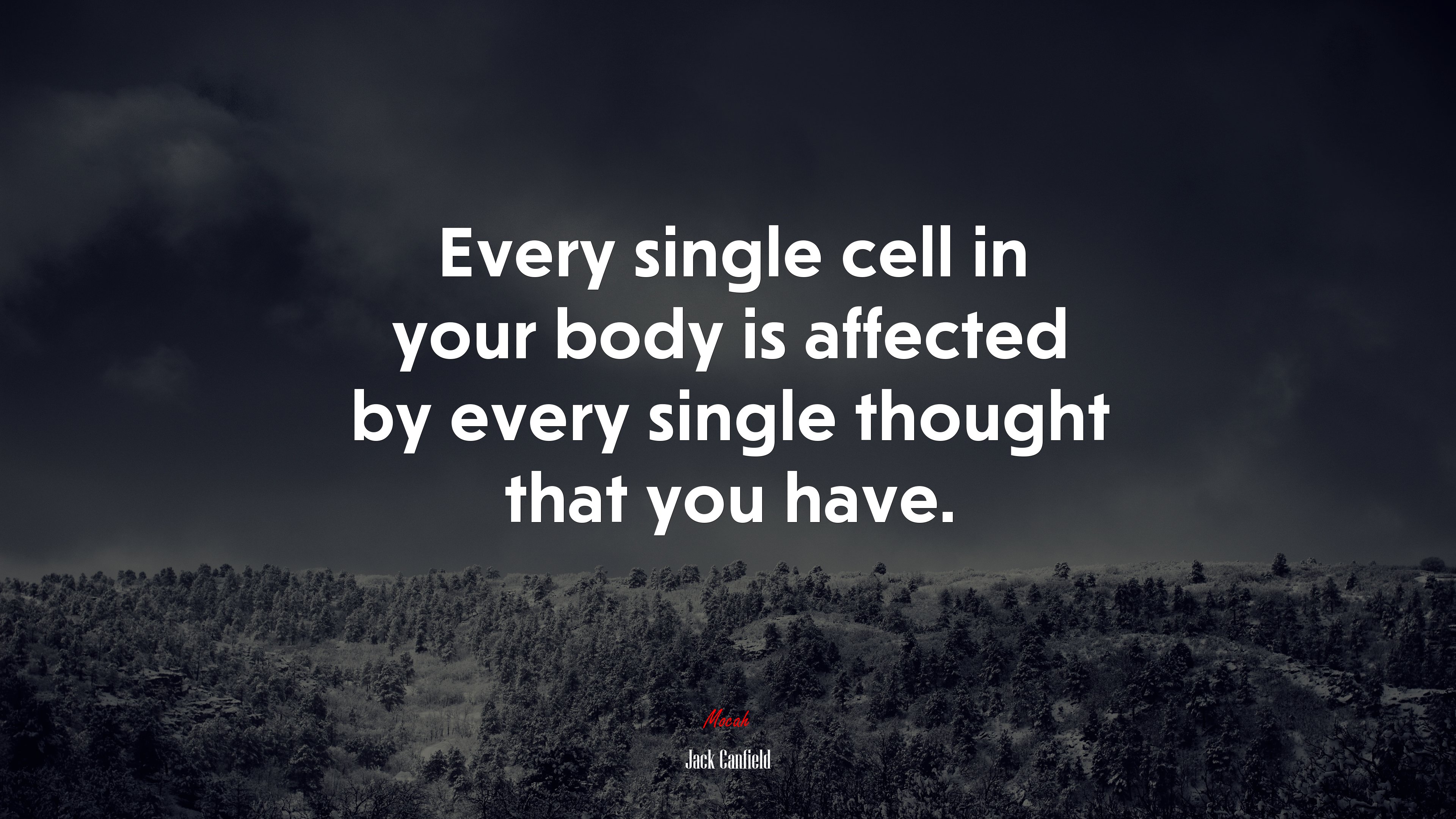 Every single cell in your body is affected by every single thought that you have. | Jack Canfield quote HD Wallpaper
