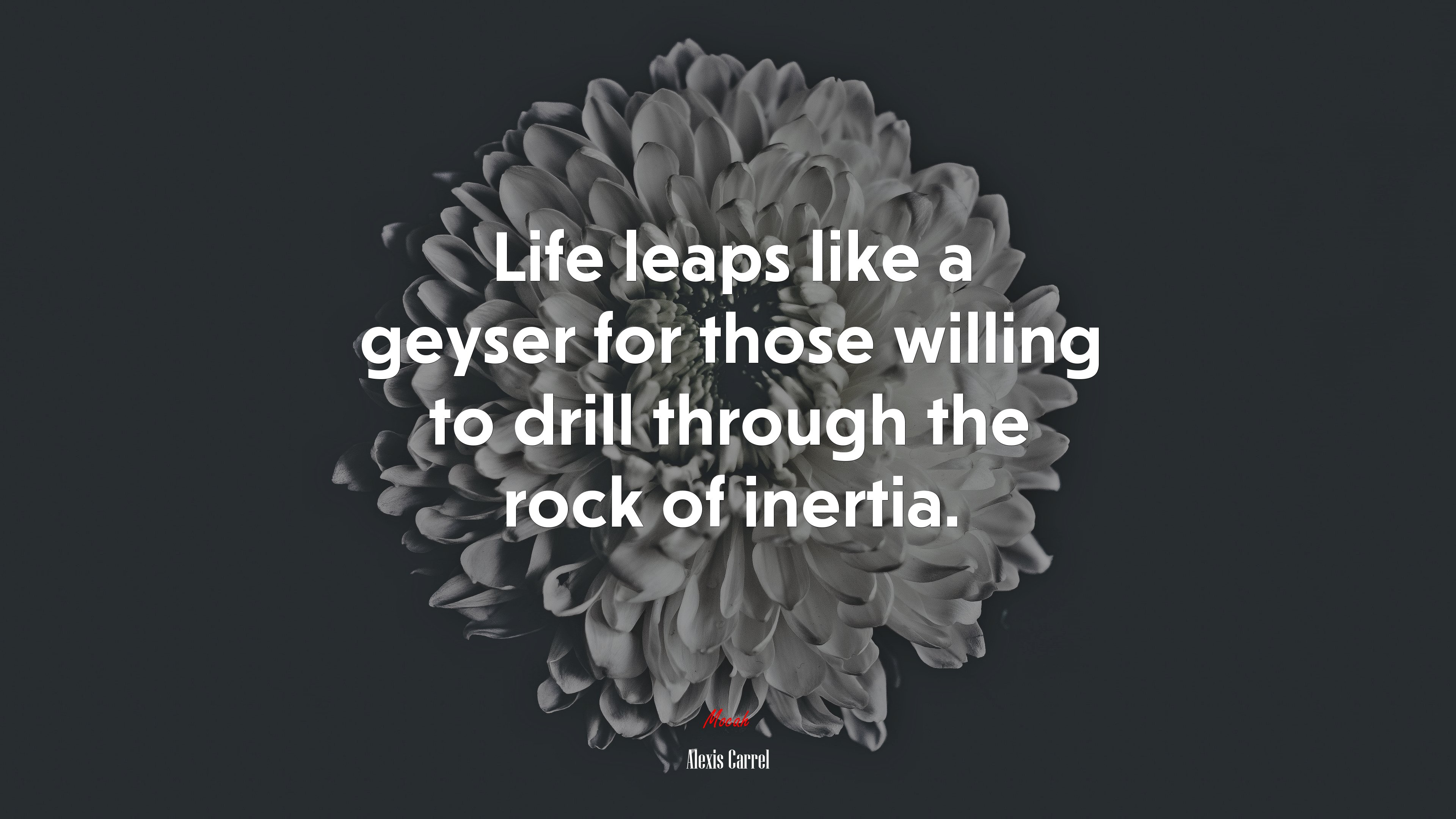 Life leaps like a geyser for those willing to drill through the rock of inertia. | Alexis Carrel quote HD Wallpaper
