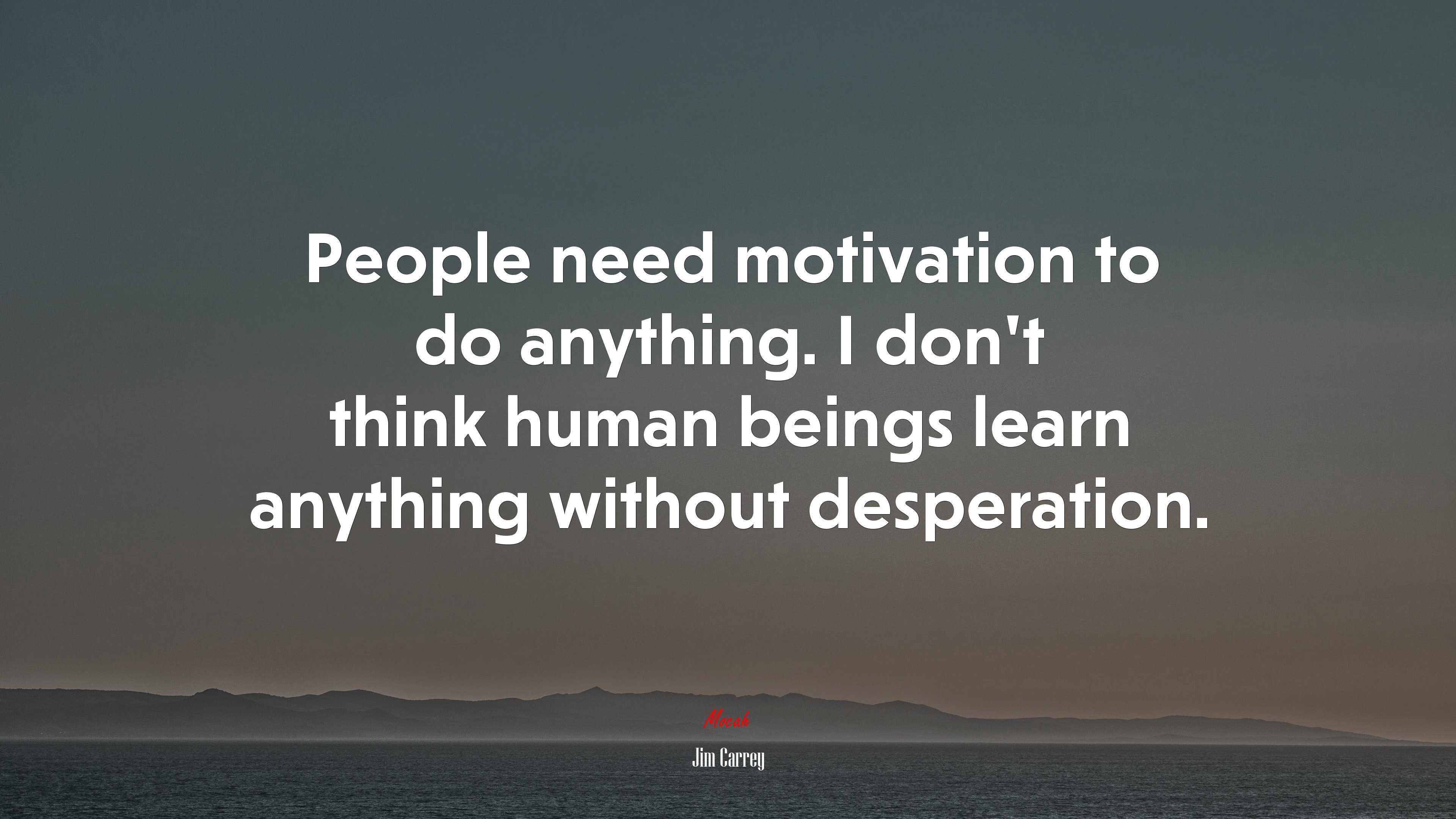 People need motivation to do anything. I don’t think human beings learn anything without desperation. | Jim Carrey quote HD Wallpaper