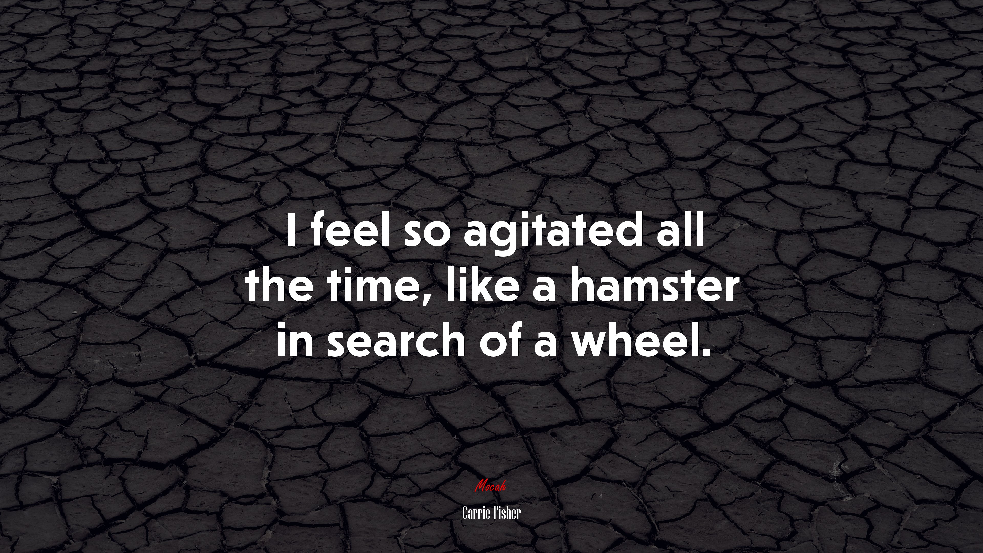 I feel so agitated all the time, like a hamster in search of a wheel. | Carrie Fisher quote HD Wallpaper