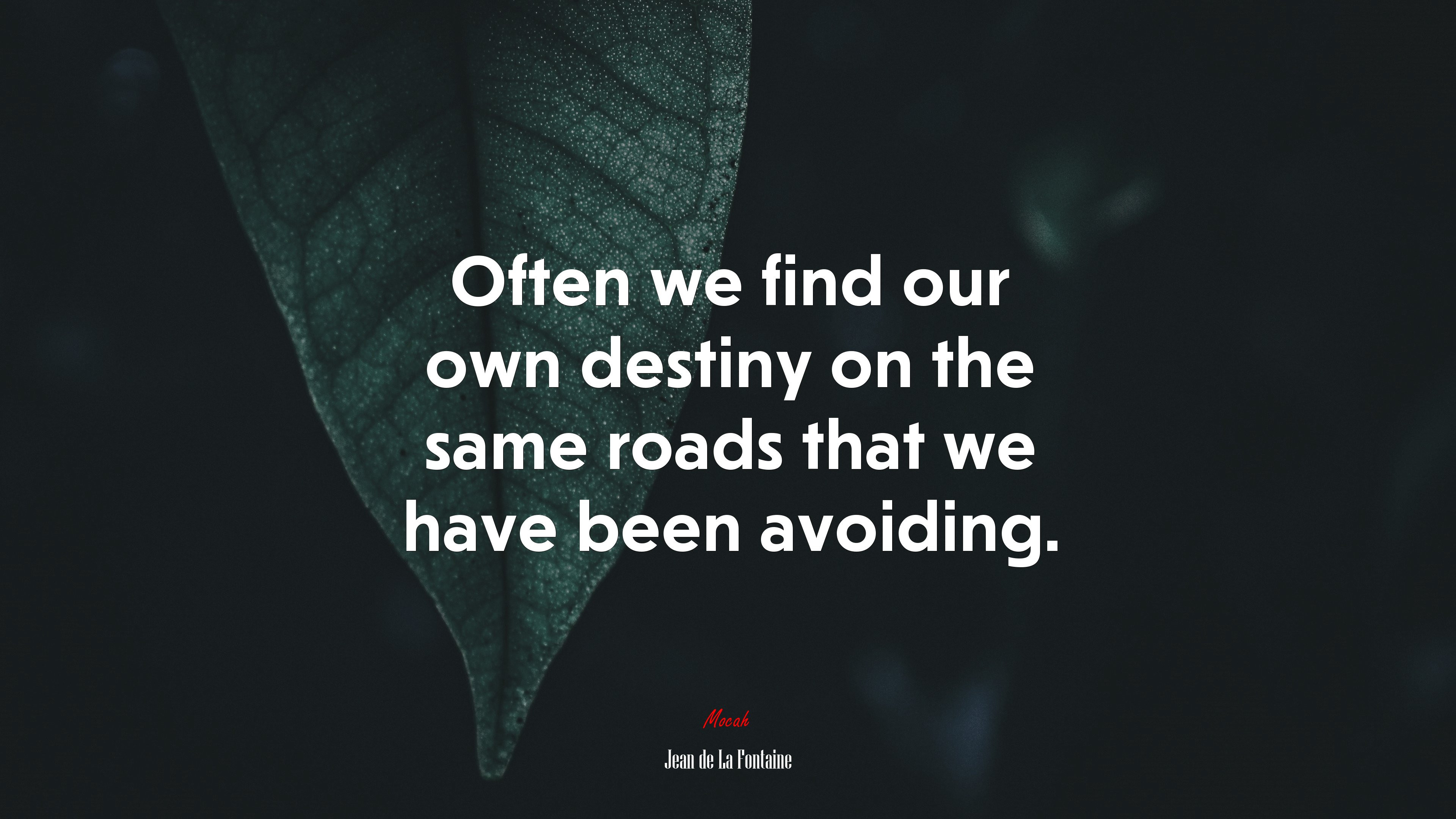 Often we find our own destiny on the same roads that we have been avoiding. | Jean de La Fontaine quote HD Wallpaper