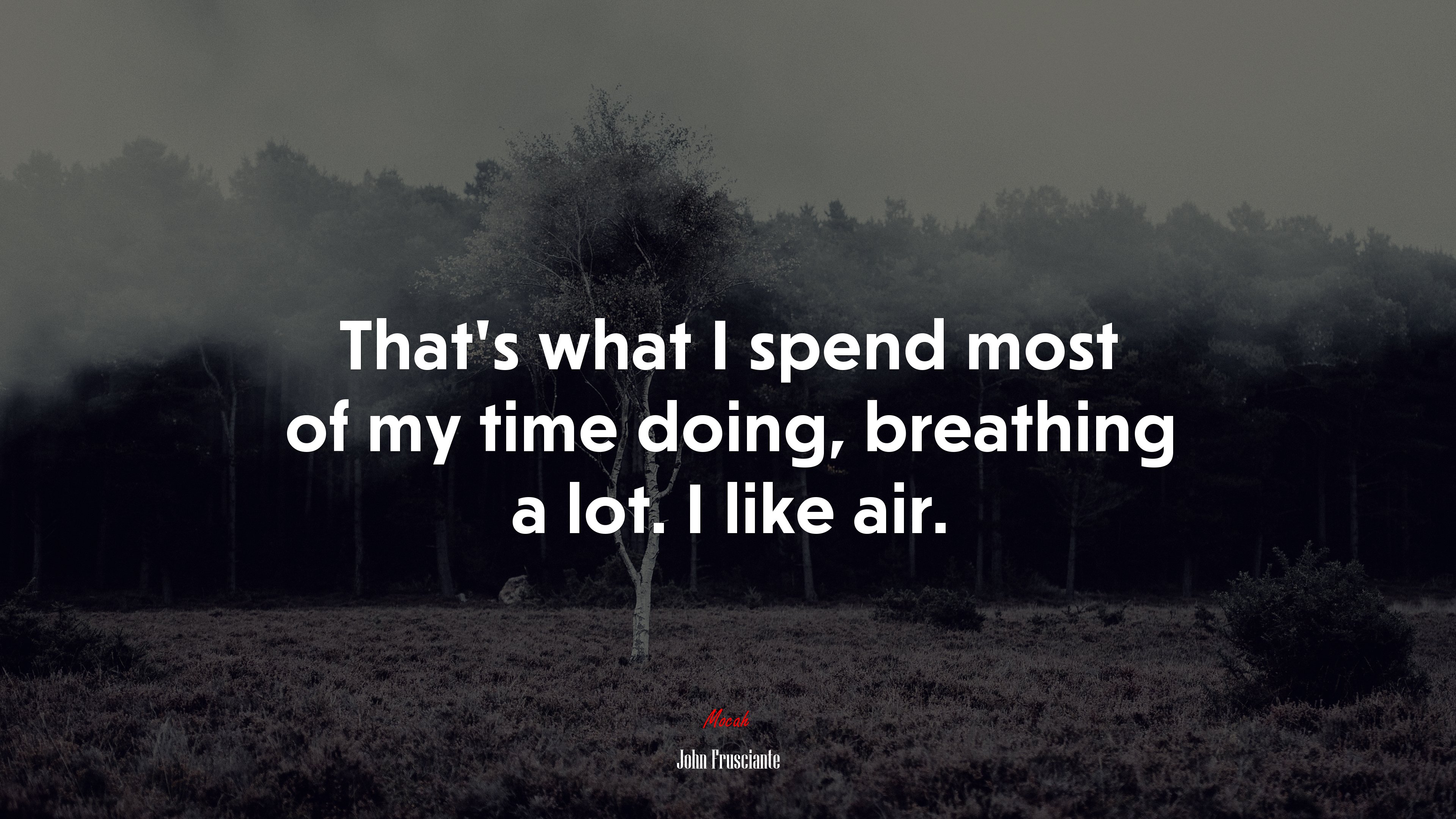 That’s what I spend most of my time doing, breathing a lot. I like air. | John Frusciante quote HD Wallpaper