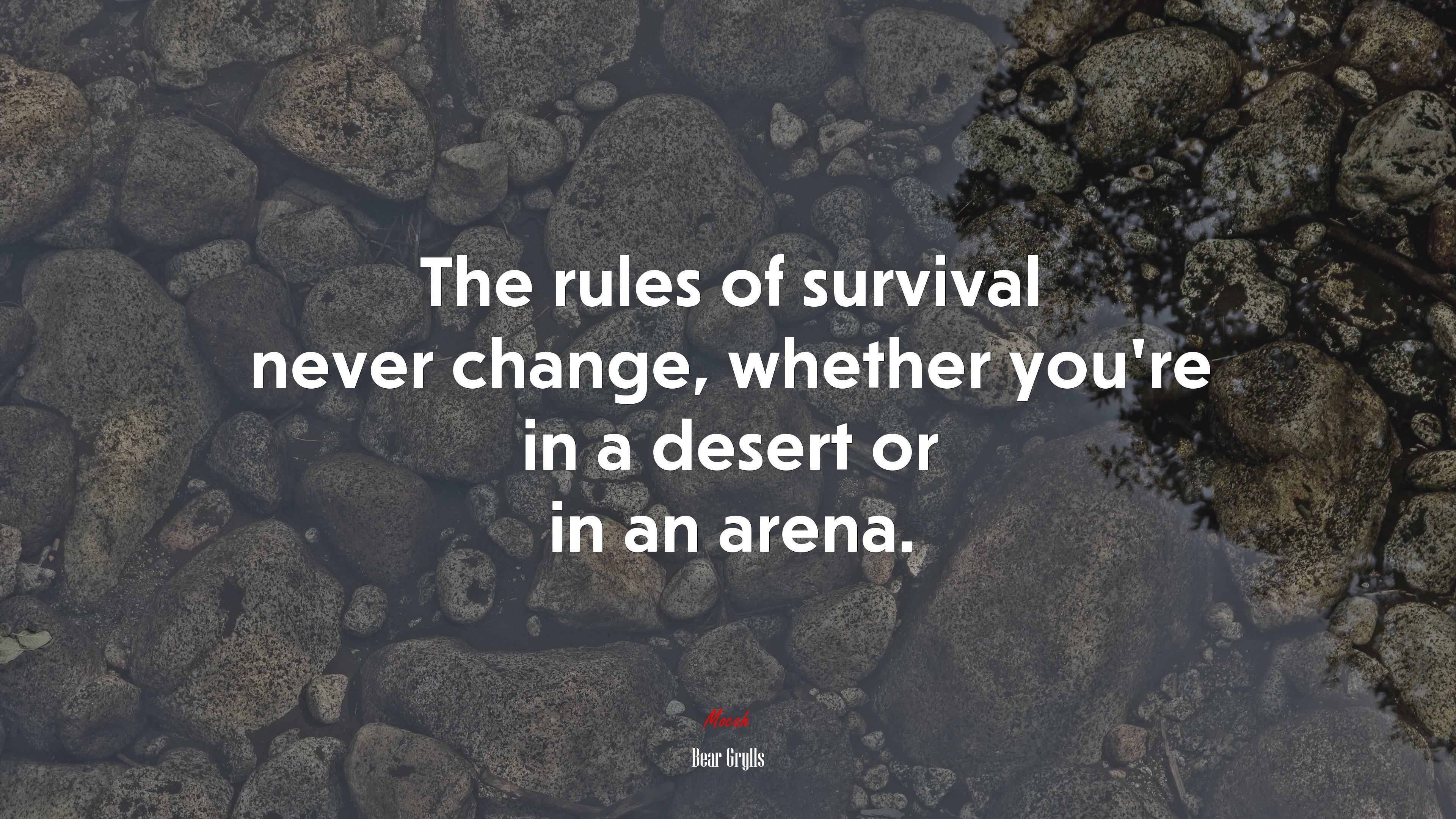 The rules of survival never change, whether you’re in a desert or in an arena. | Bear Grylls quote HD Wallpaper